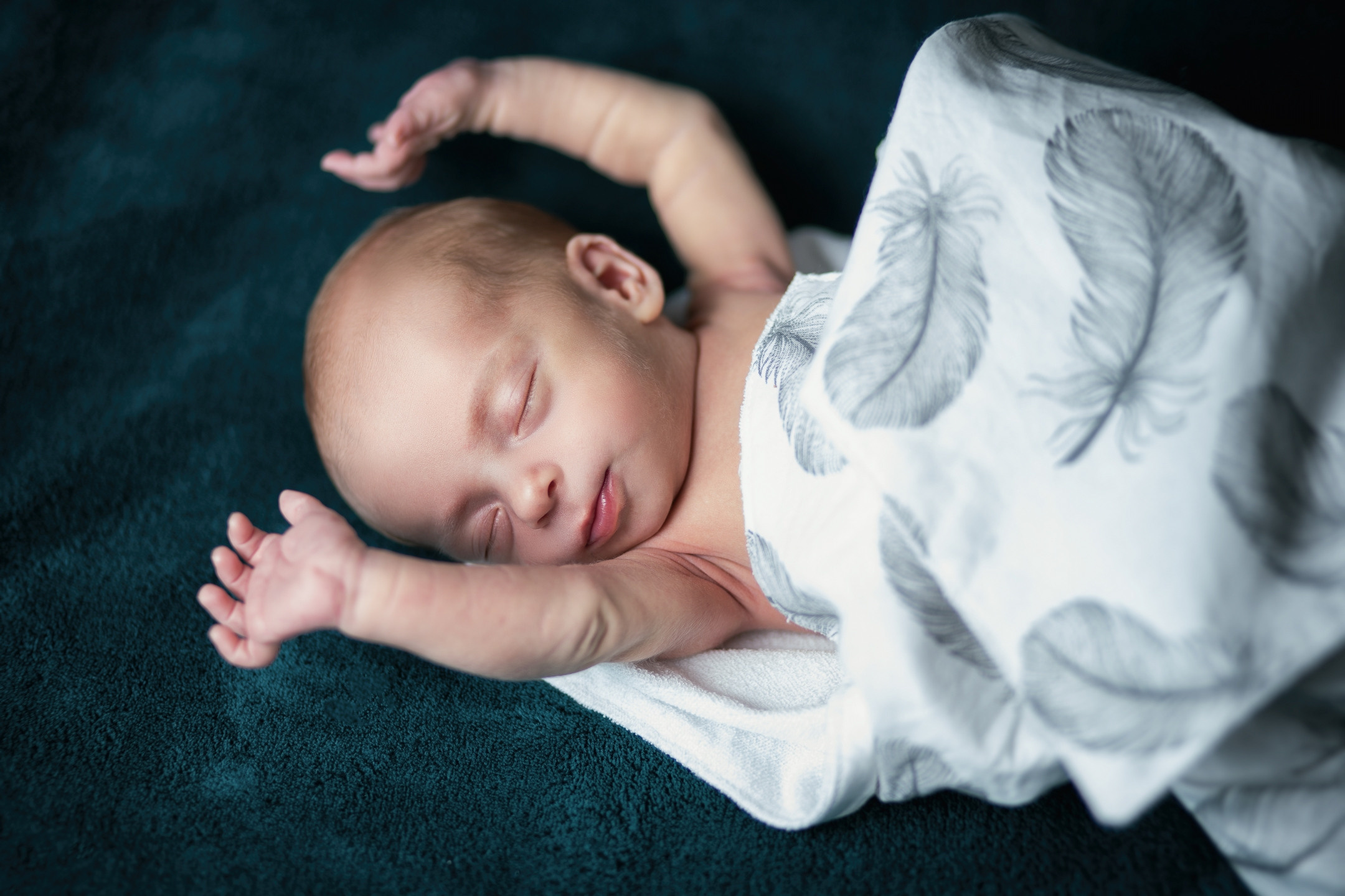 Максим. Avocado Film — фото та відео зйомка