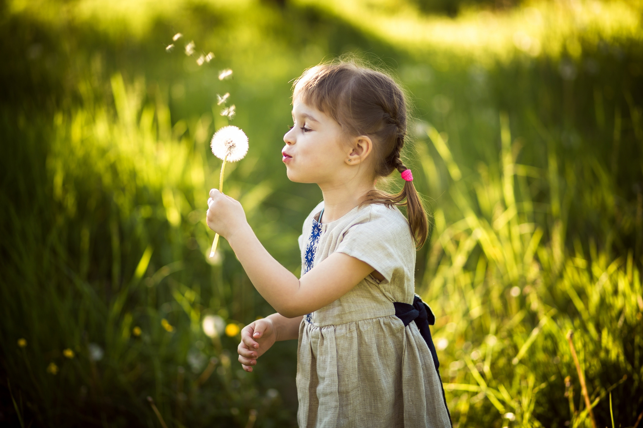 Шинкаруки. Avocado Film — фото та відео зйомка