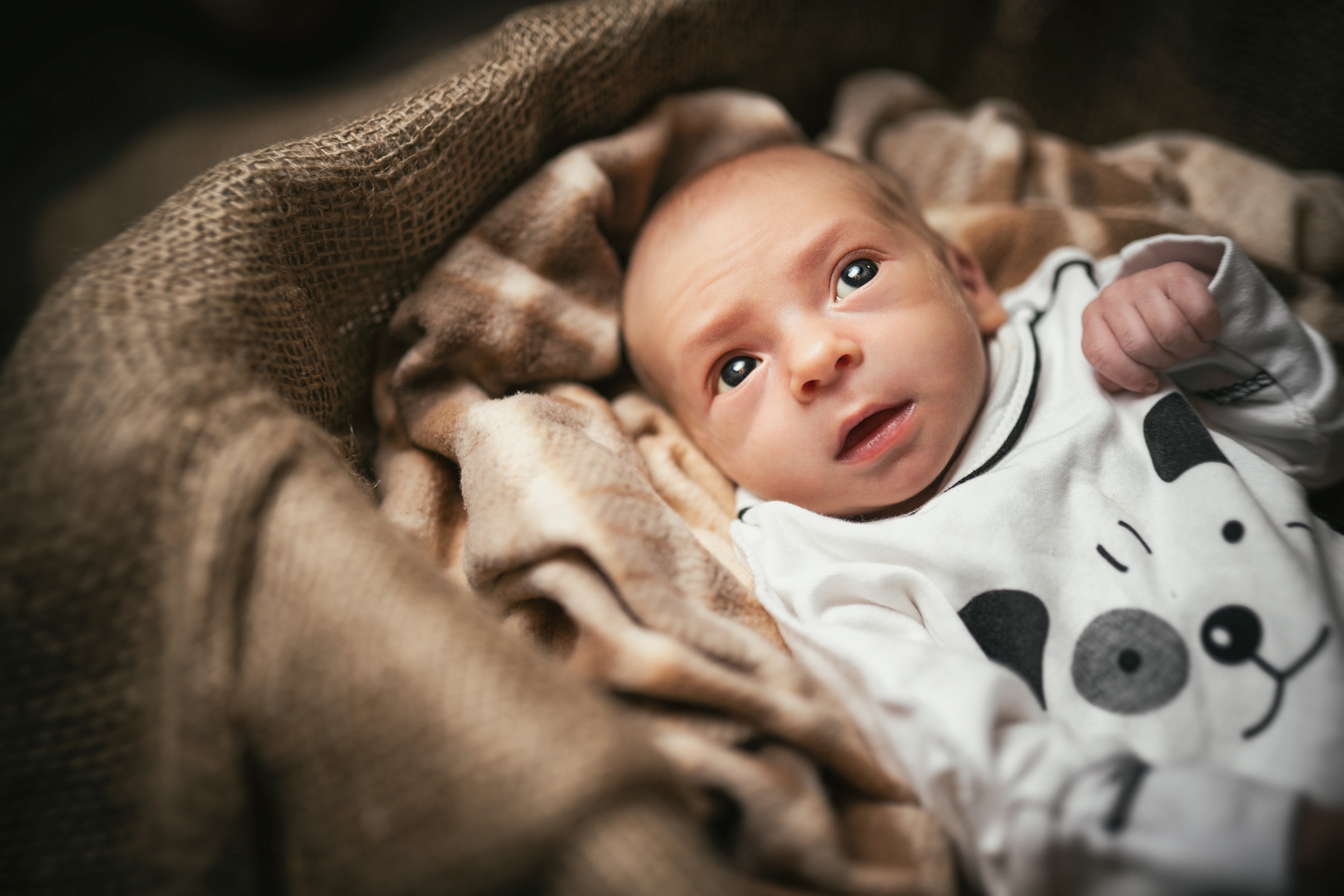 Максим. Avocado Film — фото та відео зйомка