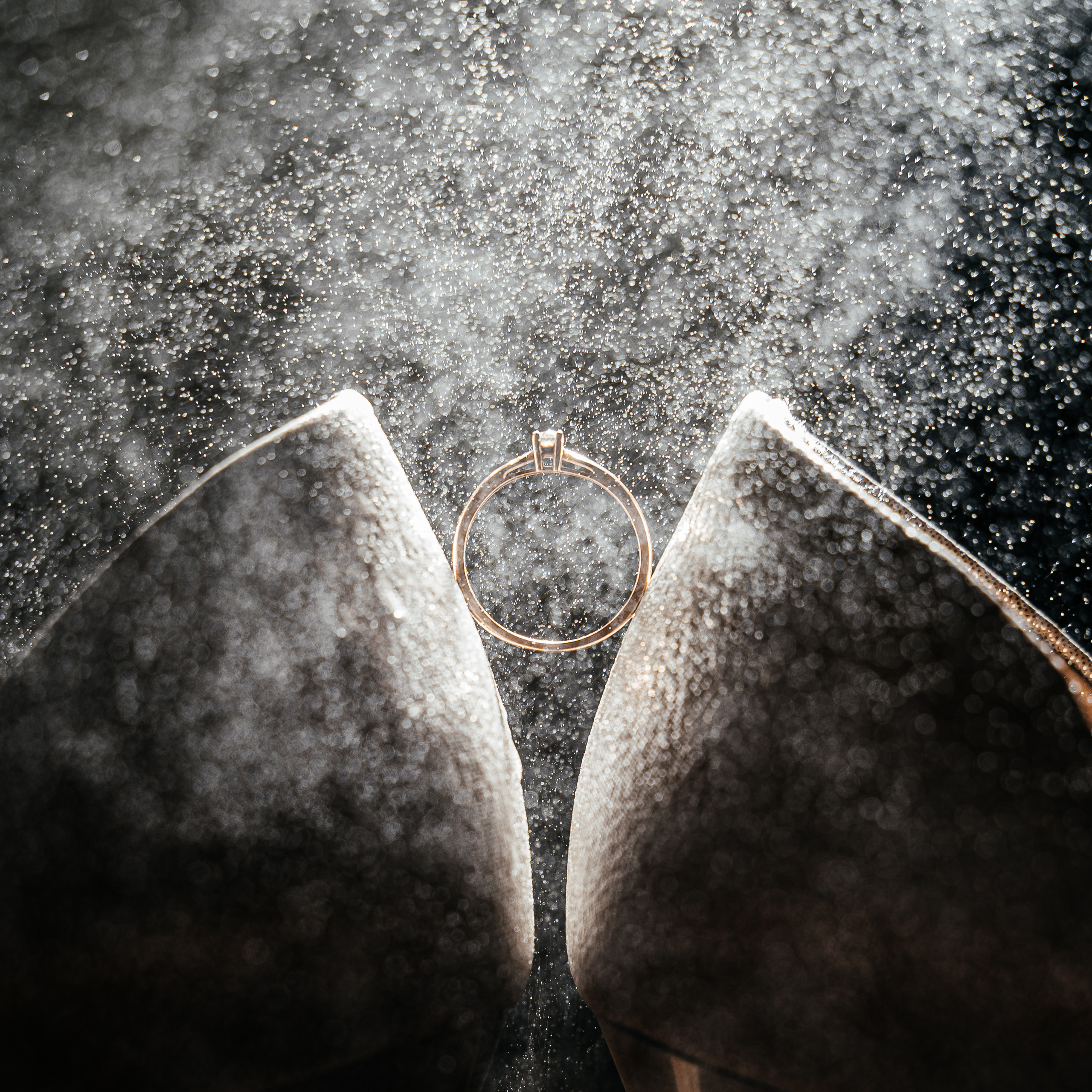 Олександр та Анна. Avocado Film — фото та відео зйомка