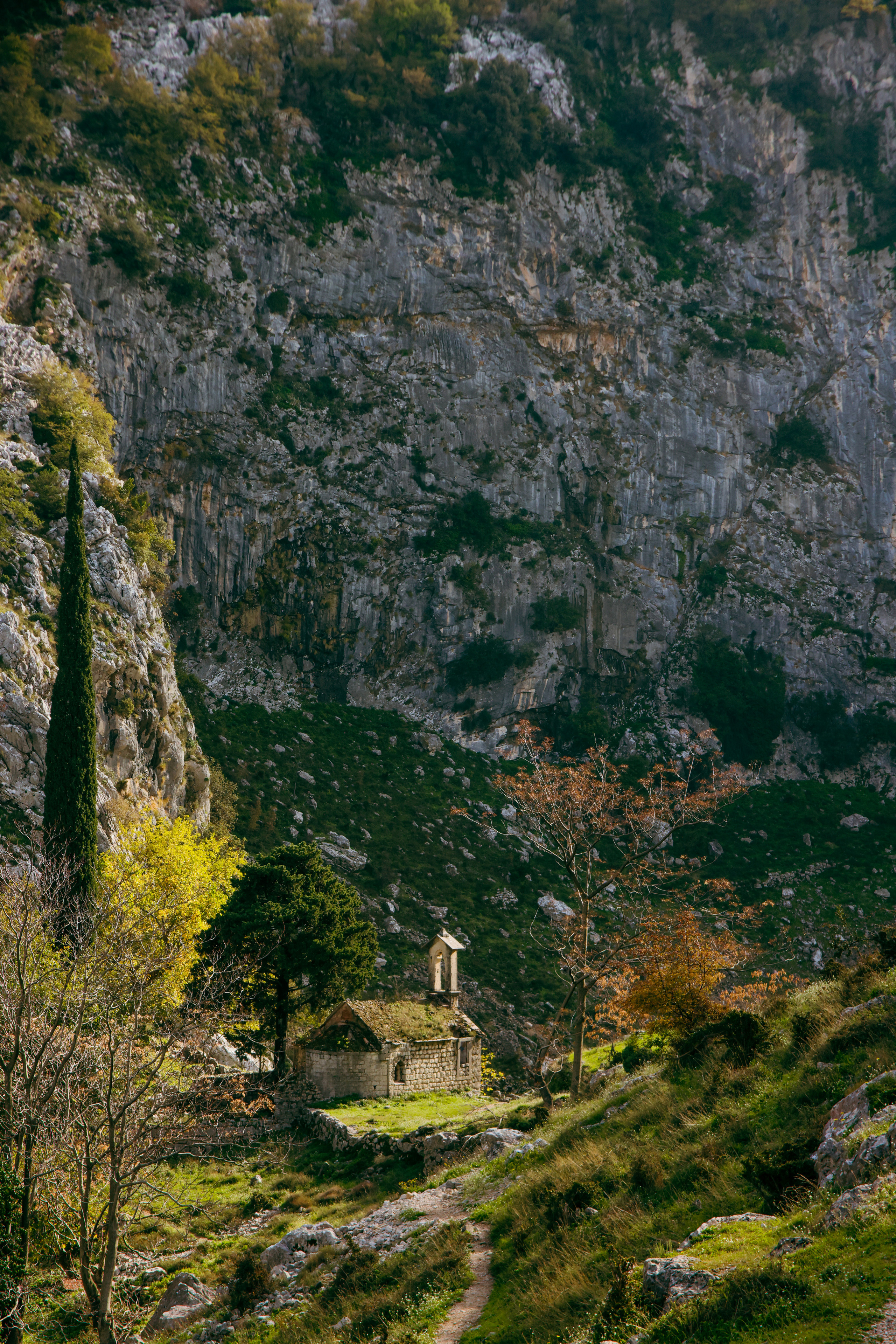 Nature. Magnum Roman Photographer