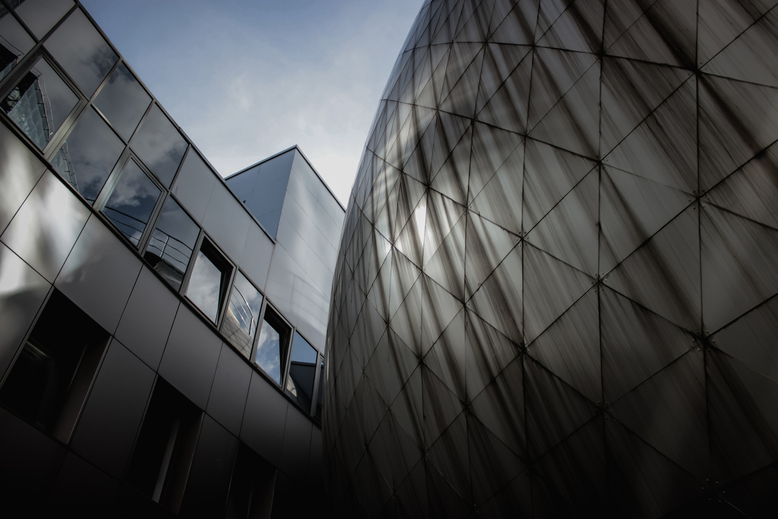 Nature. Magnum Roman Photographer