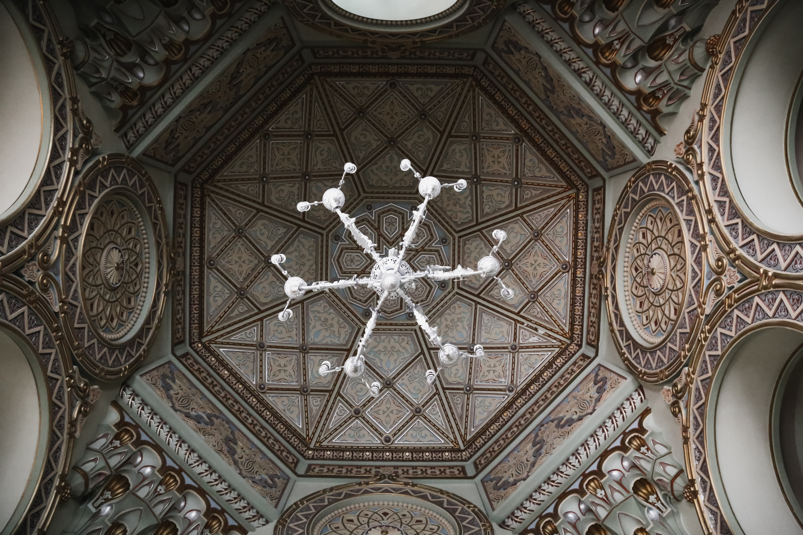 Nature. Magnum Roman Photographer