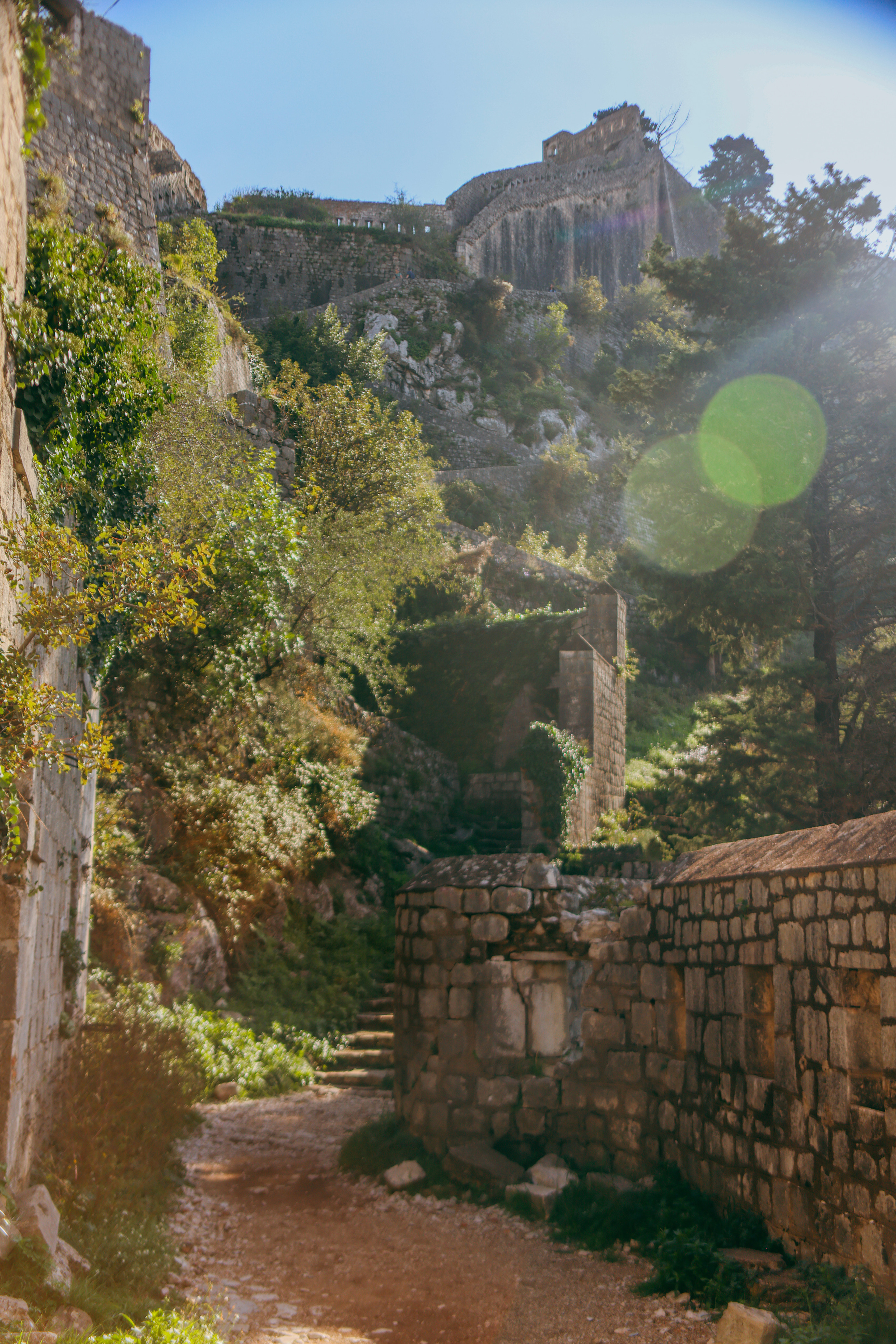 Nature. Magnum Roman Photographer