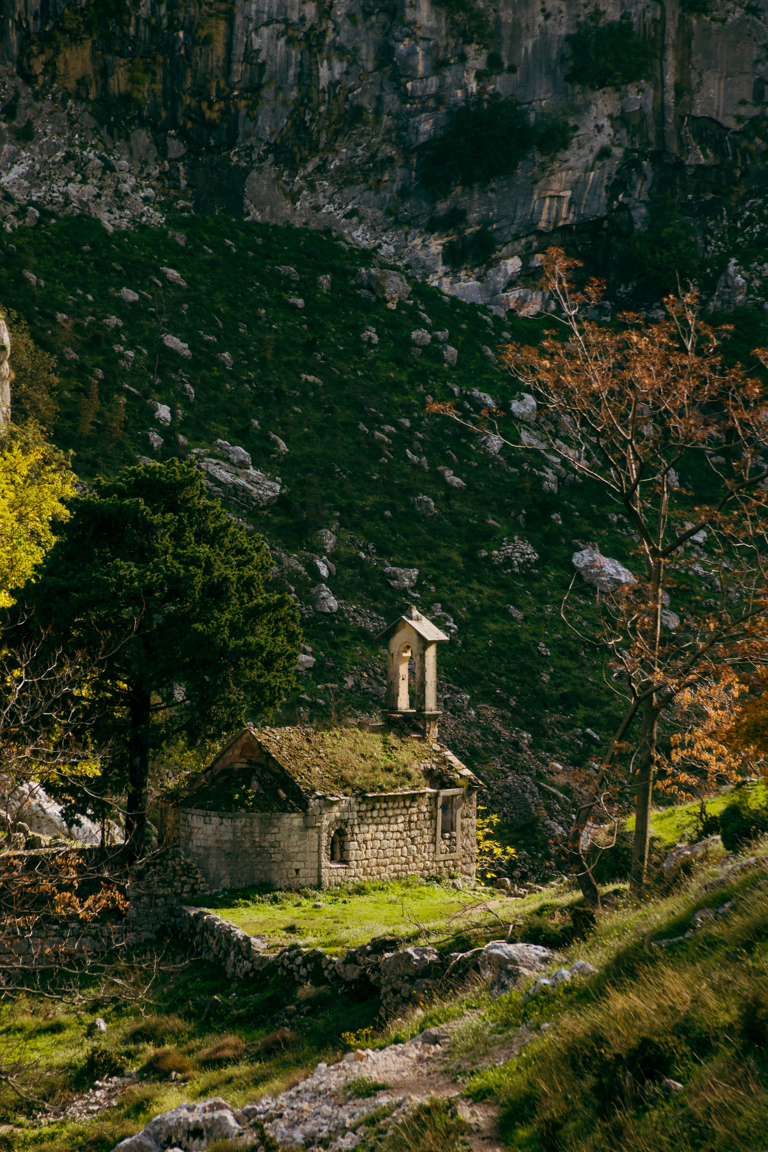 Nature. Magnum Roman Photographer
