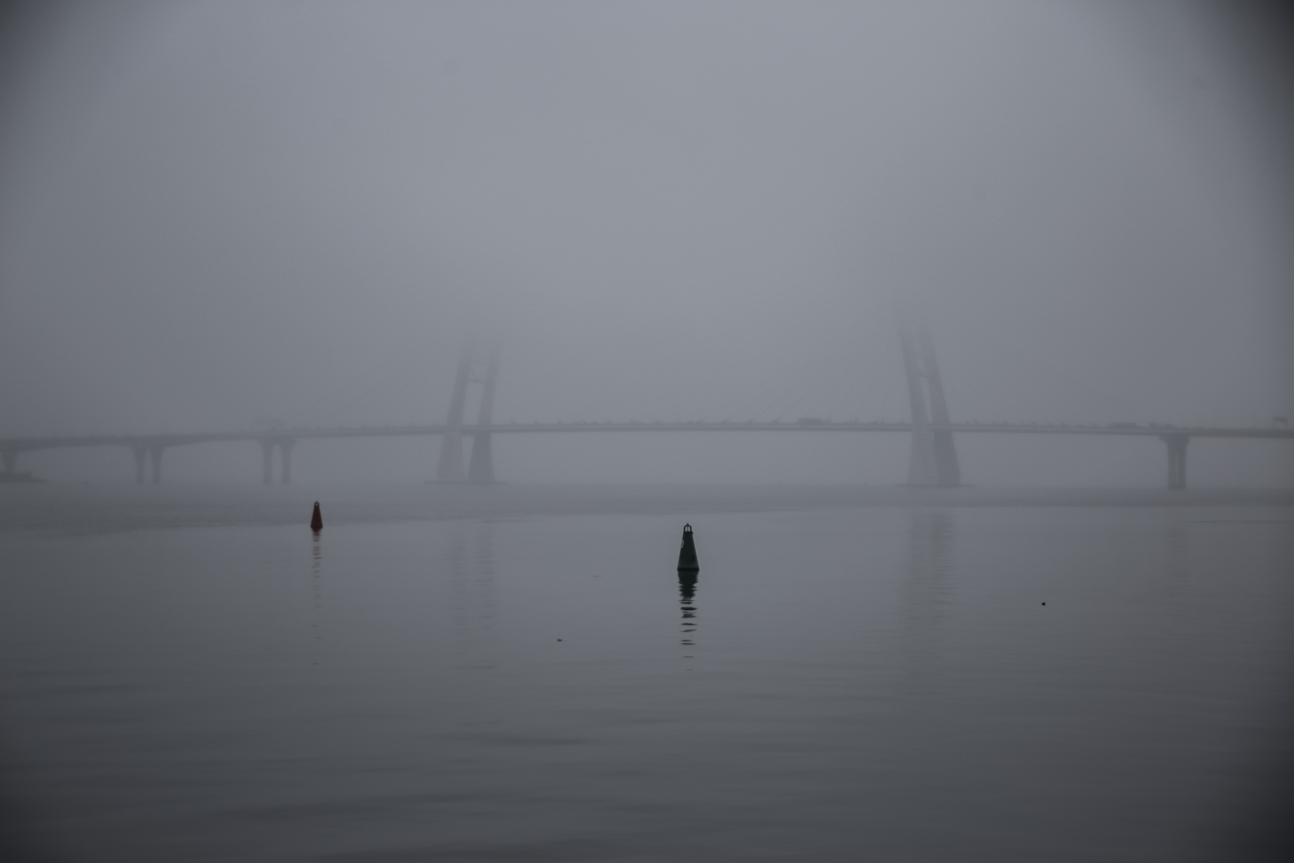 Nature. Magnum Roman Photographer