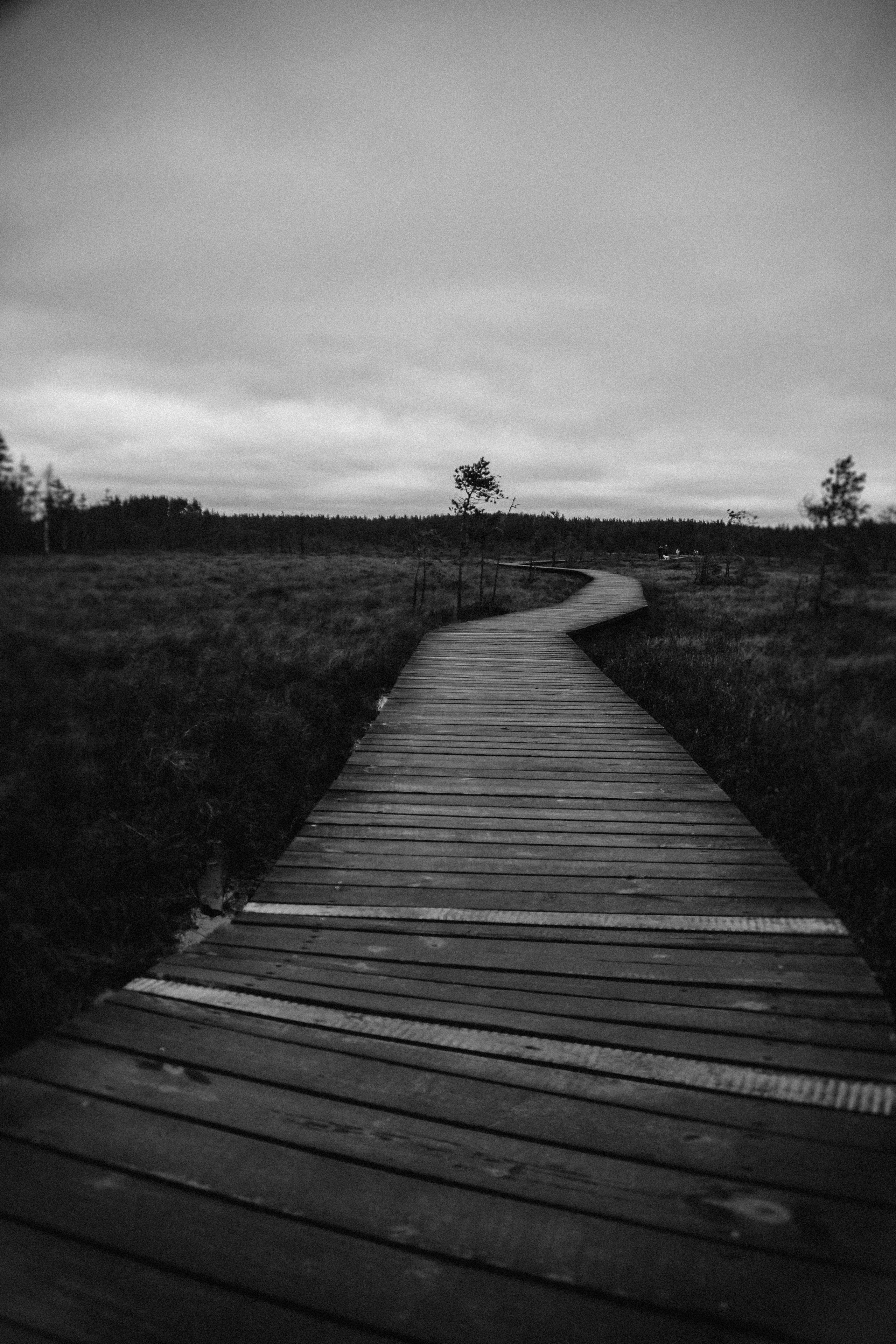 Nature. Magnum Roman Photographer