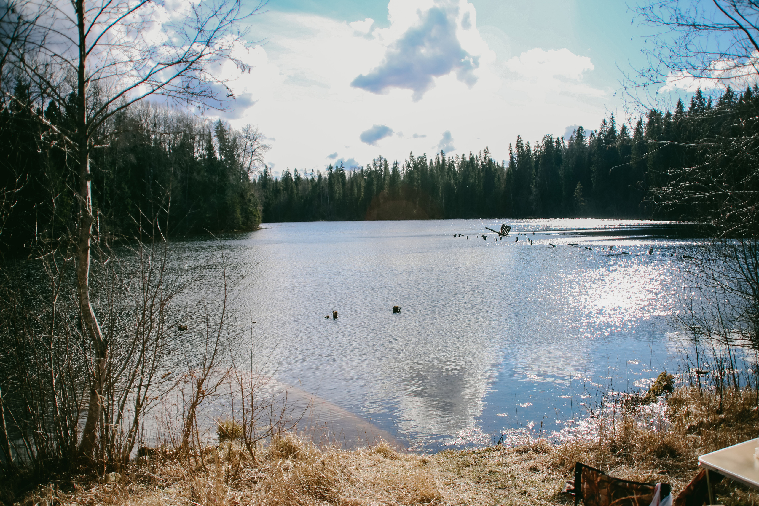 Nature. Magnum Roman Photographer