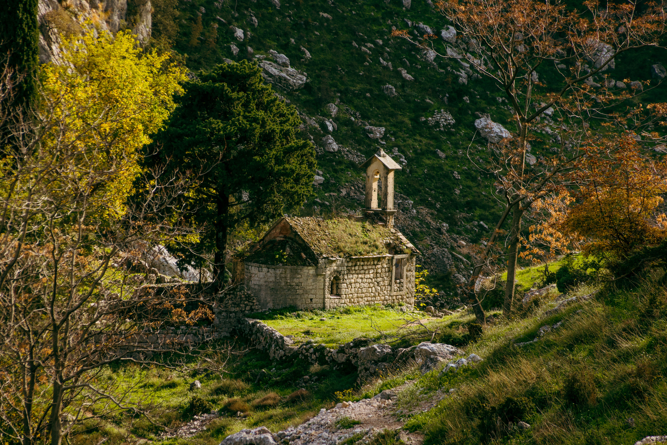 Nature. Magnum Roman Photographer