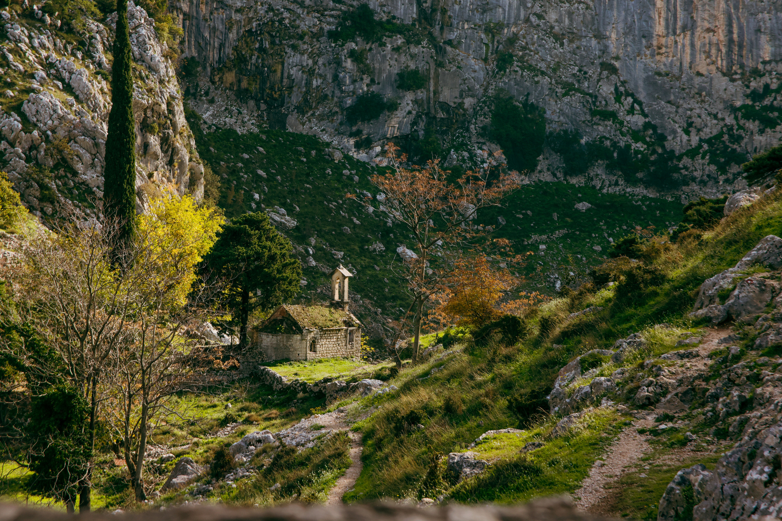 Nature. Magnum Roman Photographer