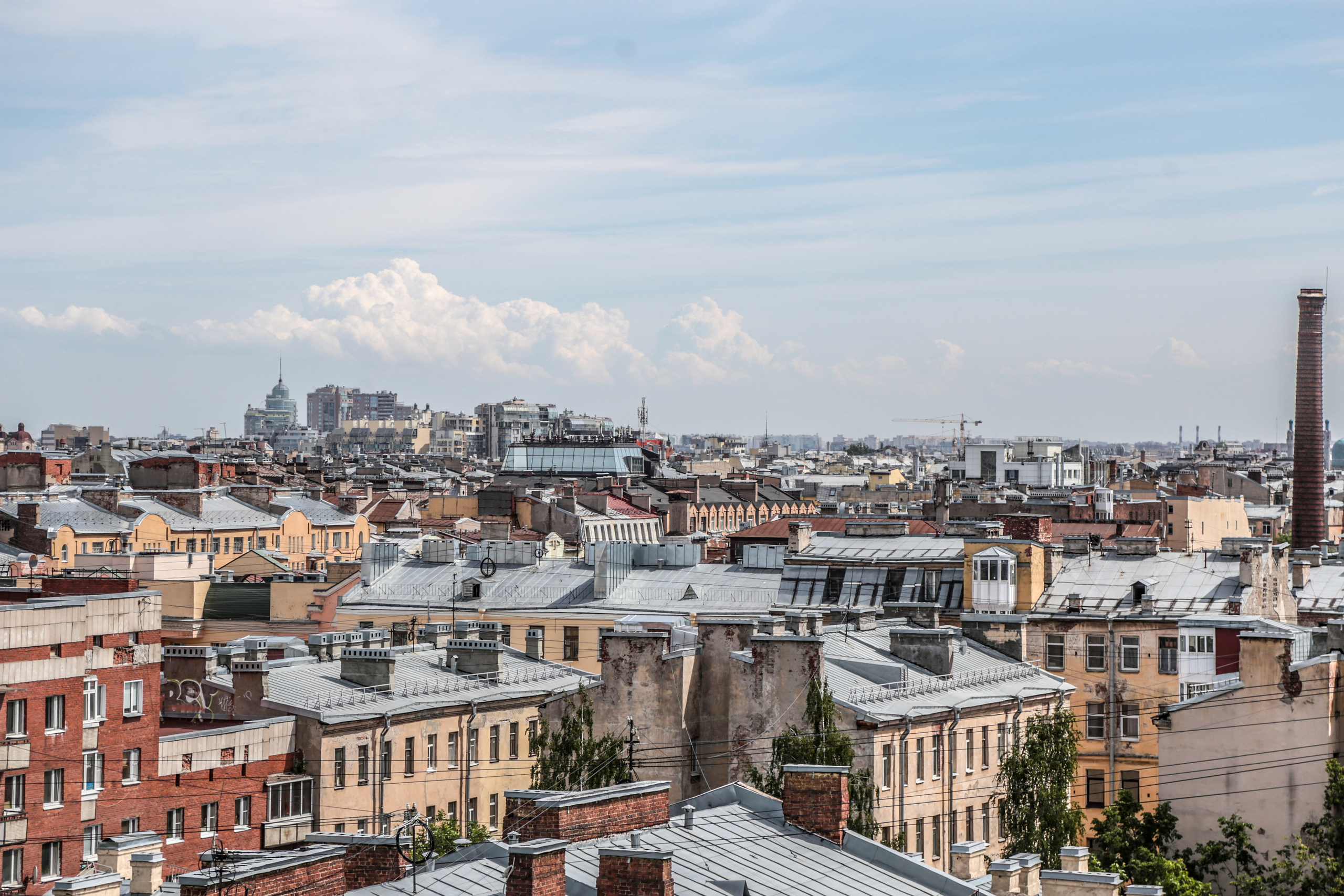 Nature. Magnum Roman Photographer