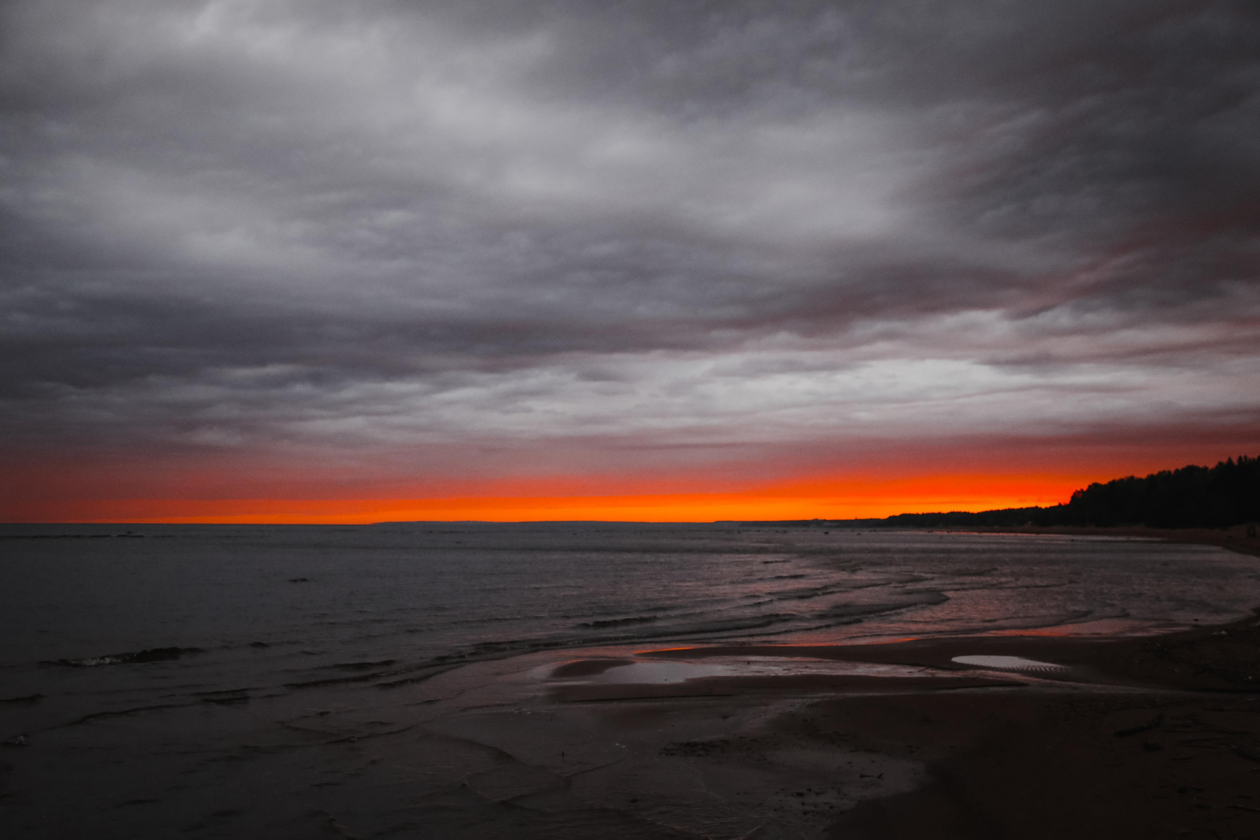 Nature. Magnum Roman Photographer