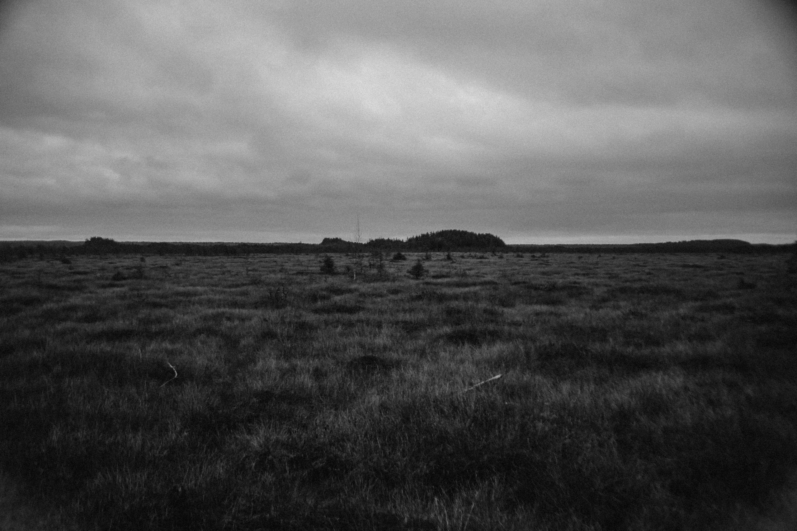 Nature. Magnum Roman Photographer