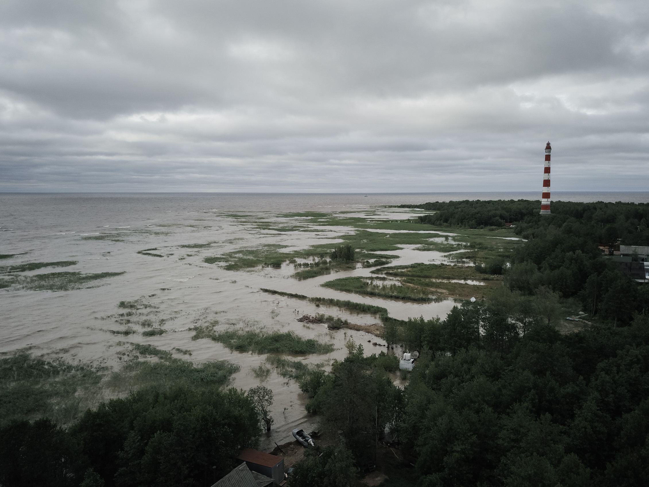 Nature. Magnum Roman Photographer