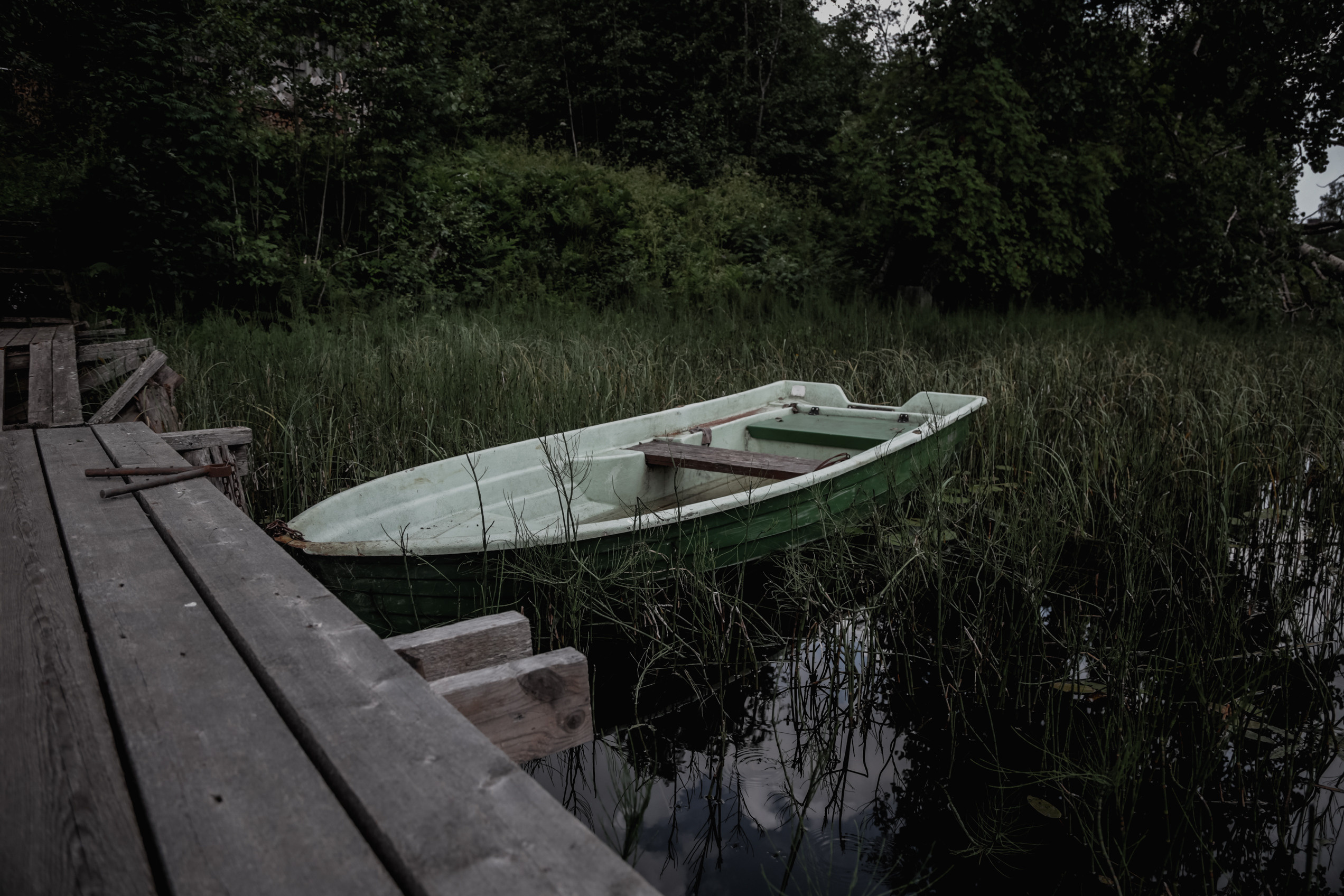 Nature. Magnum Roman Photographer