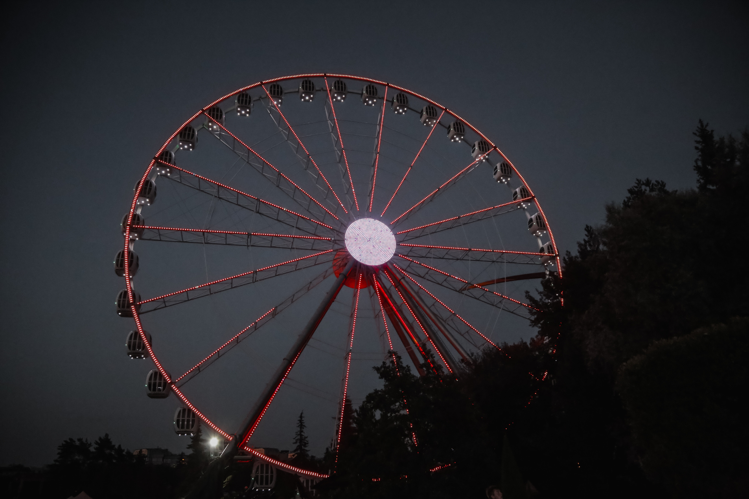 Nature. Magnum Roman Photographer
