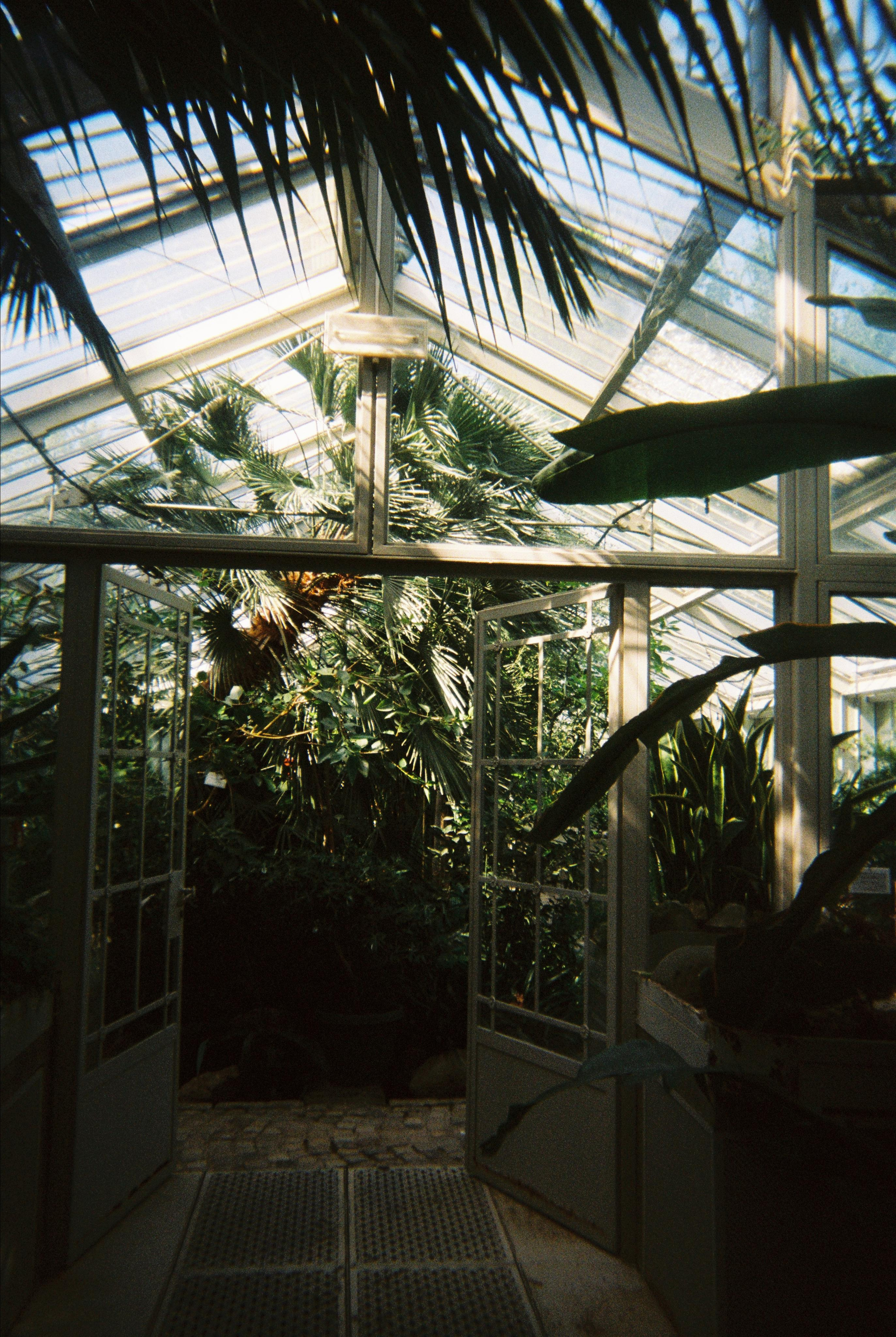 35 mm. Magnum Roman Photographer