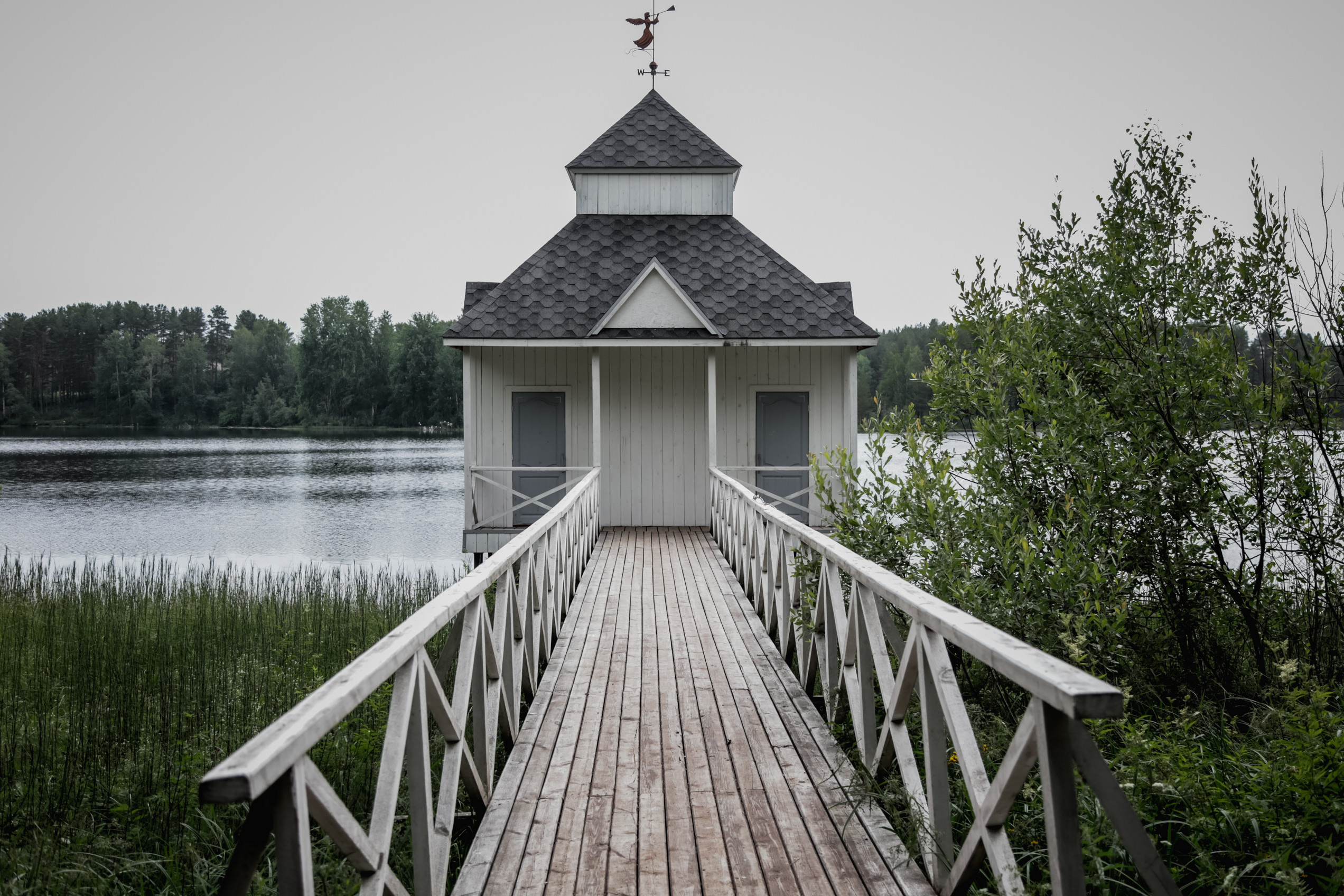 Nature. Magnum Roman Photographer