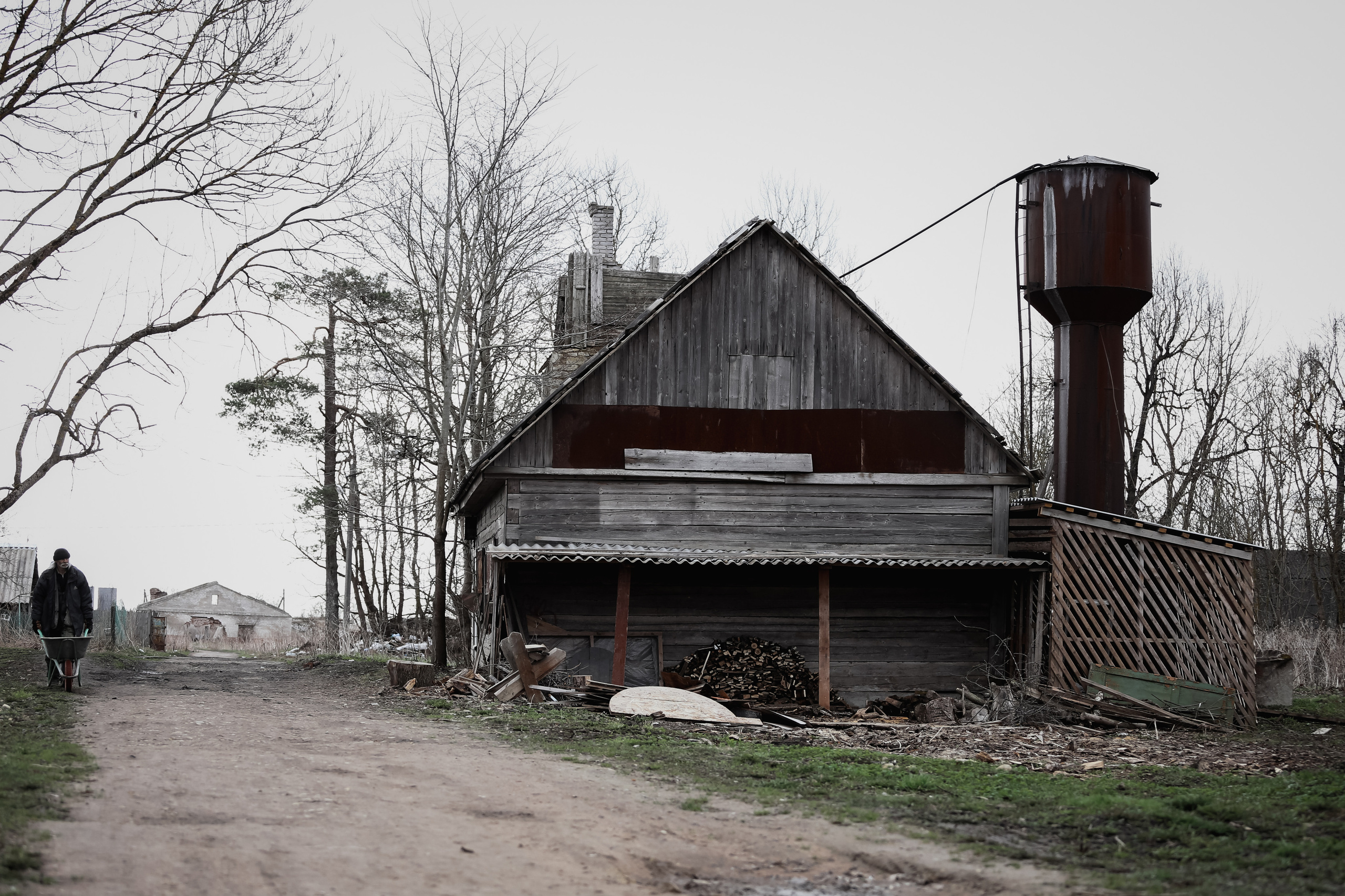 Nature. Magnum Roman Photographer