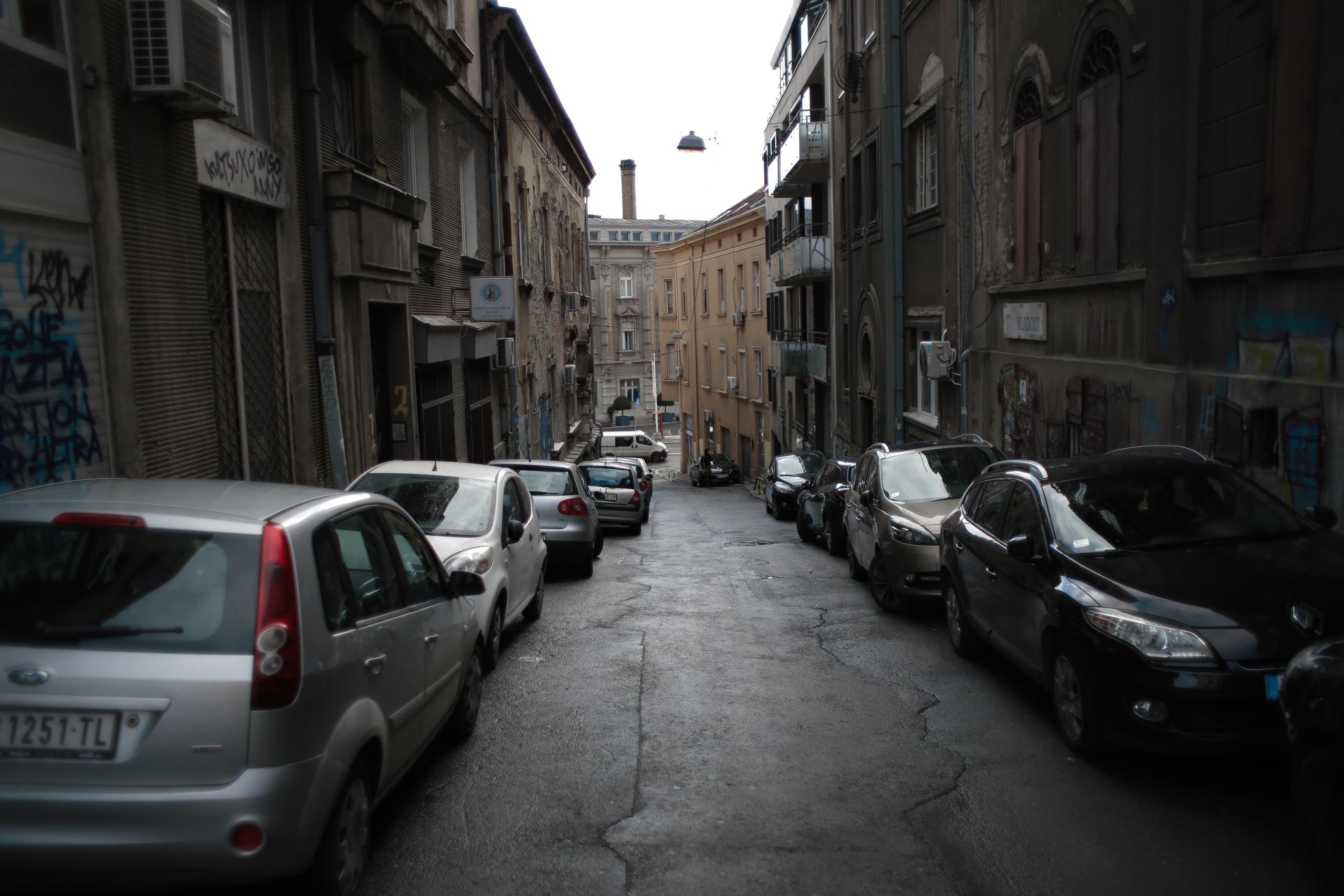 Nature. Magnum Roman Photographer