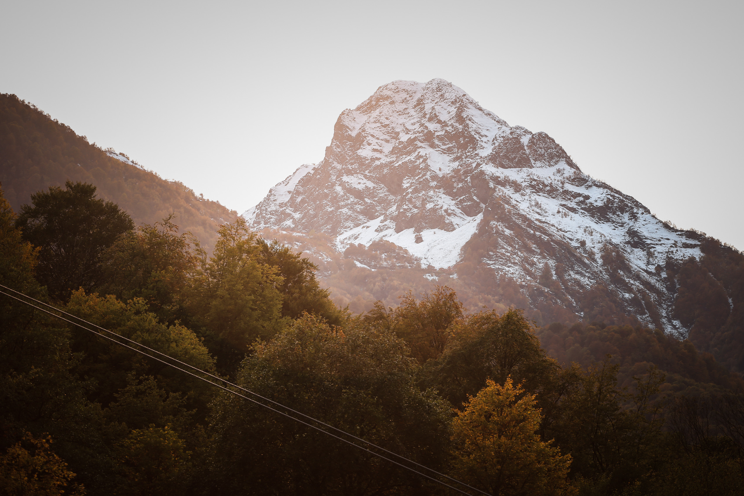 Nature. Magnum Roman Photographer