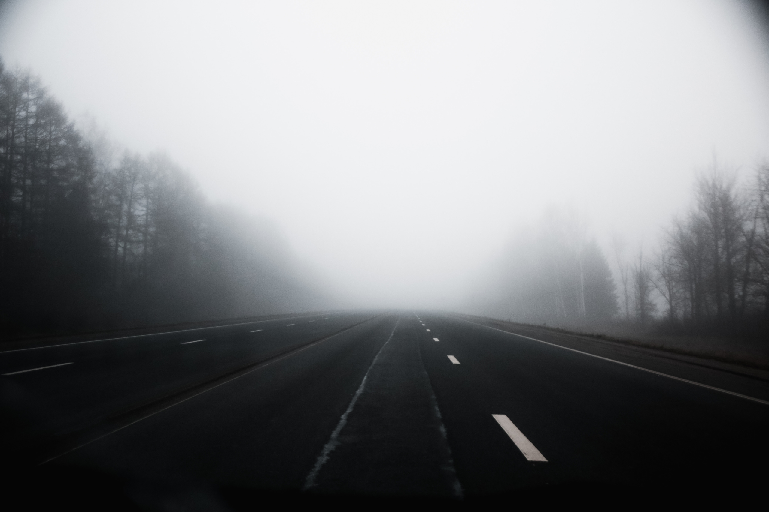 Nature. Magnum Roman Photographer