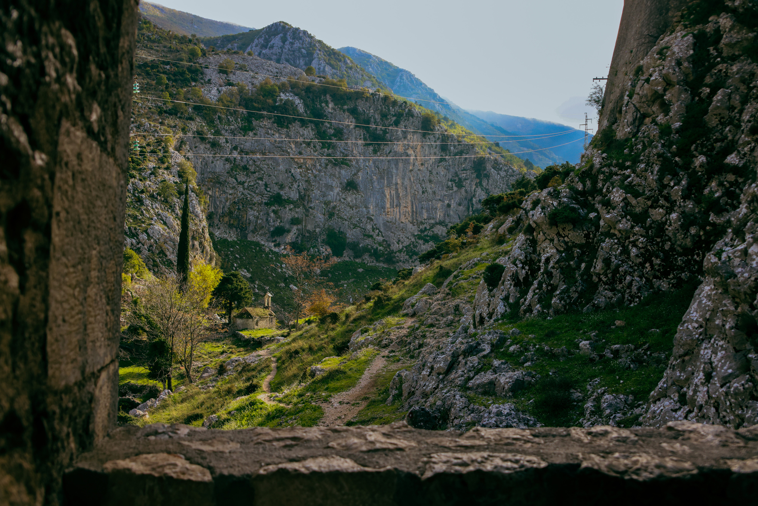 Nature. Magnum Roman Photographer