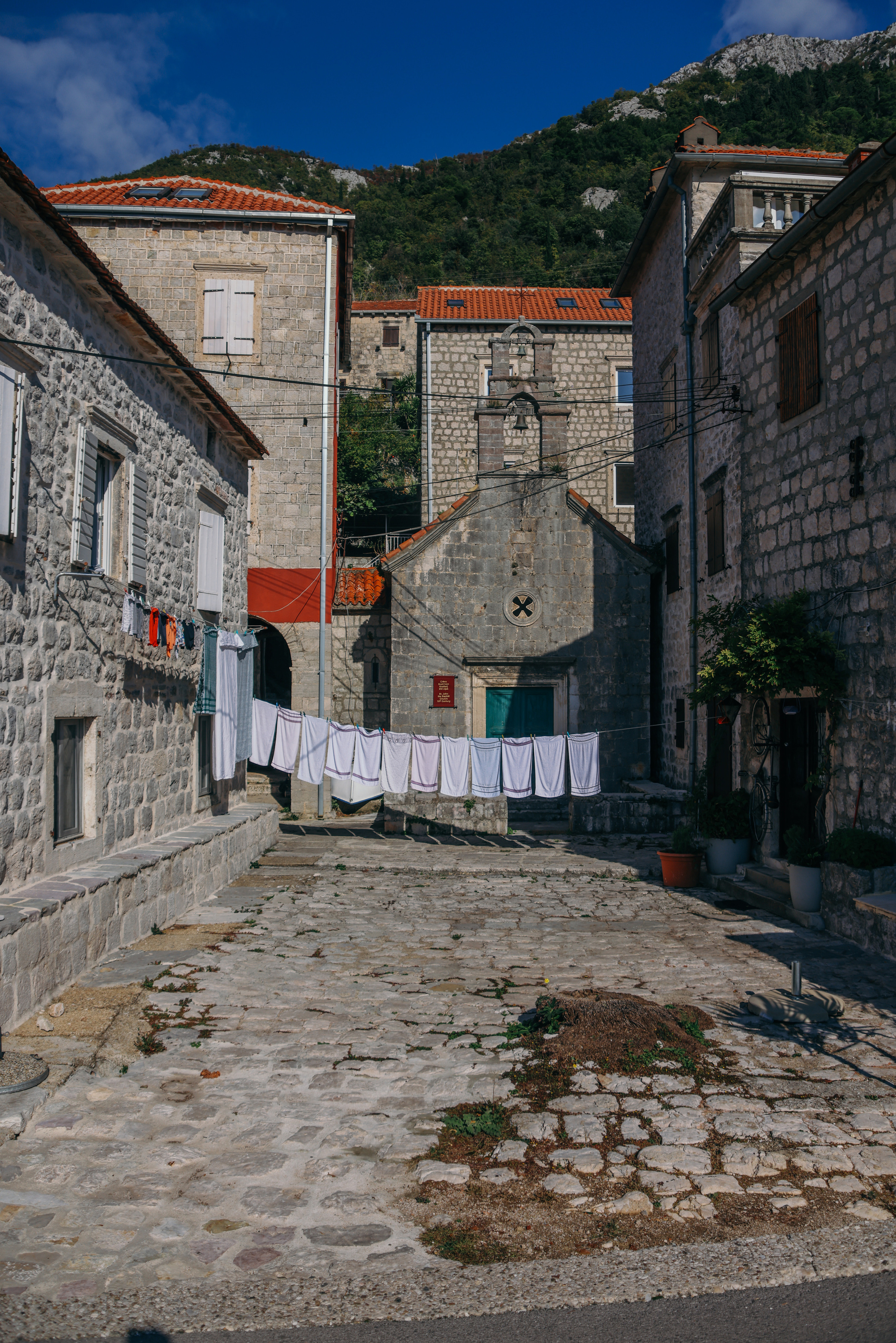 Nature. Magnum Roman Photographer