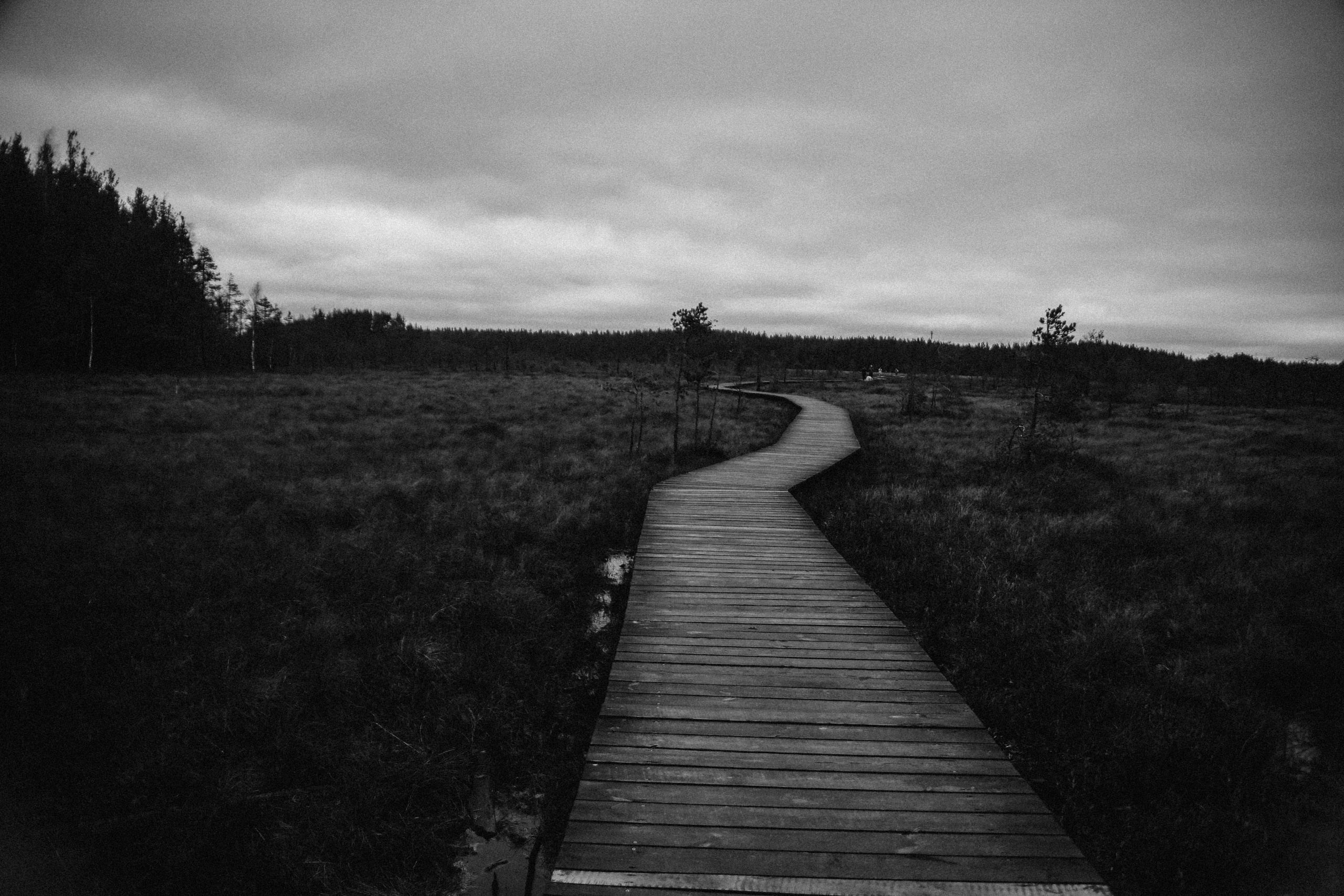 Nature. Magnum Roman Photographer