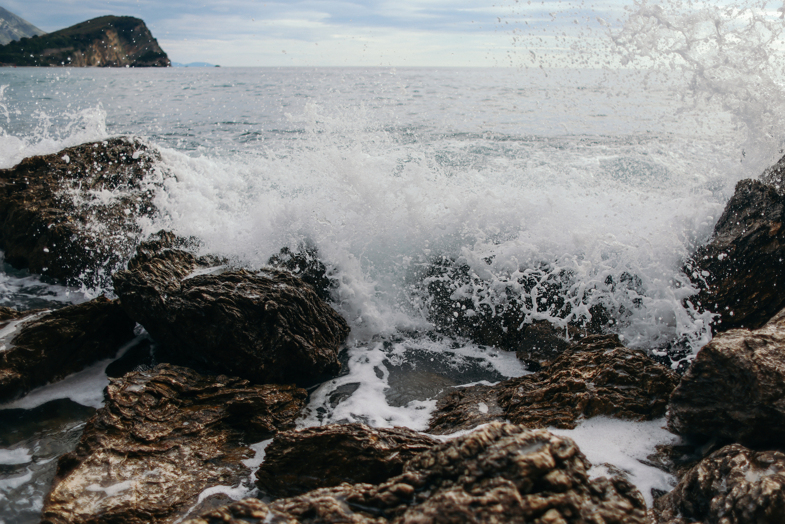Nature. Magnum Roman Photographer