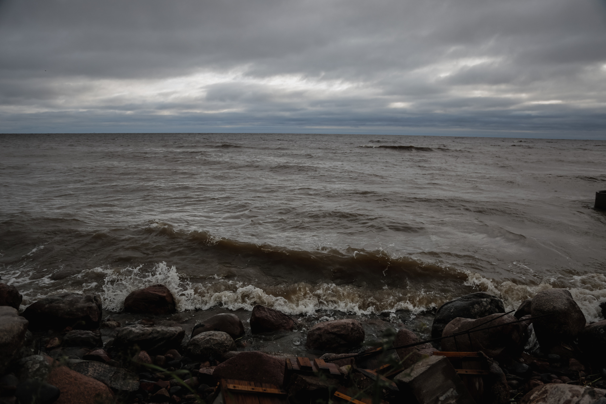 Nature. Magnum Roman Photographer