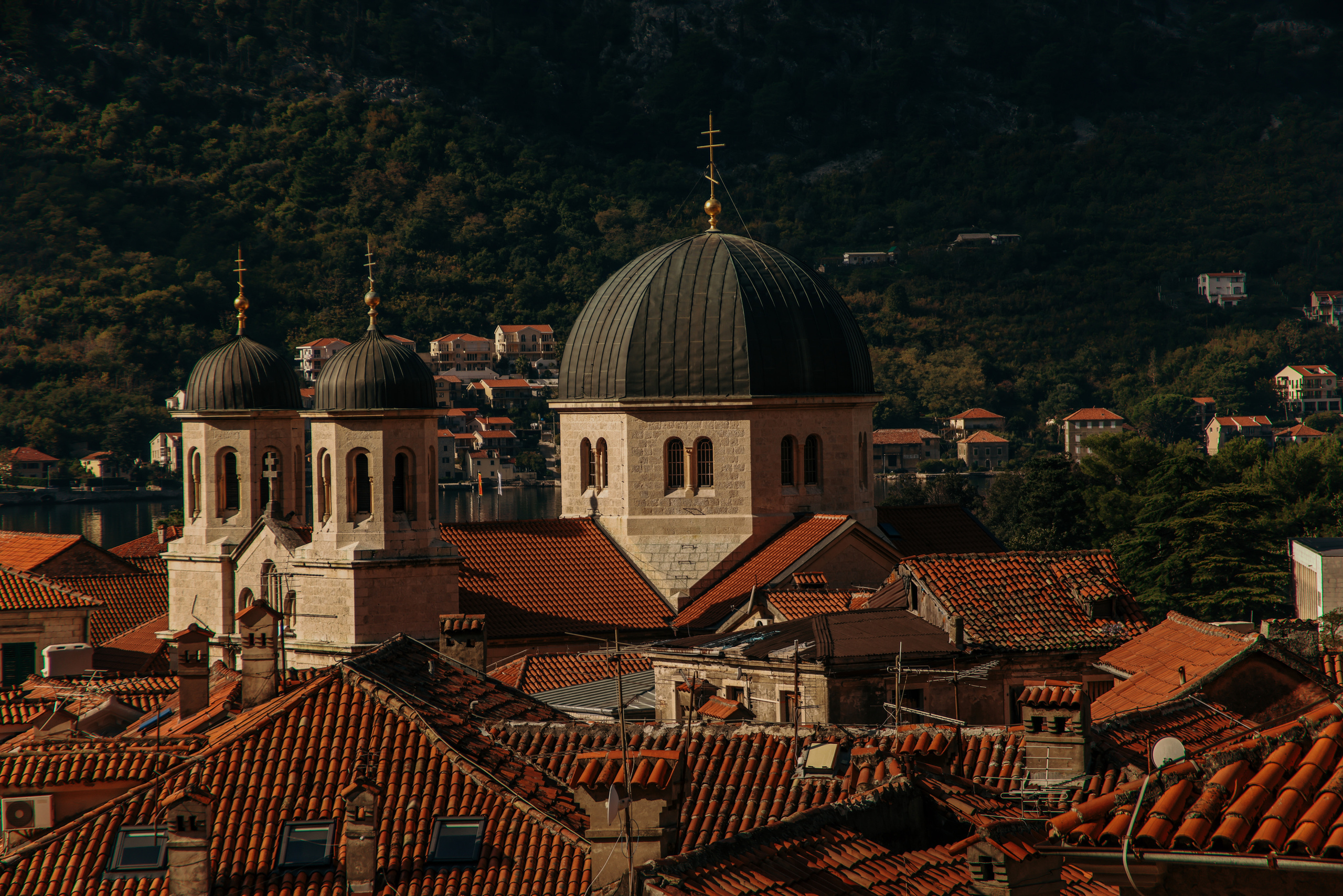 Nature. Magnum Roman Photographer