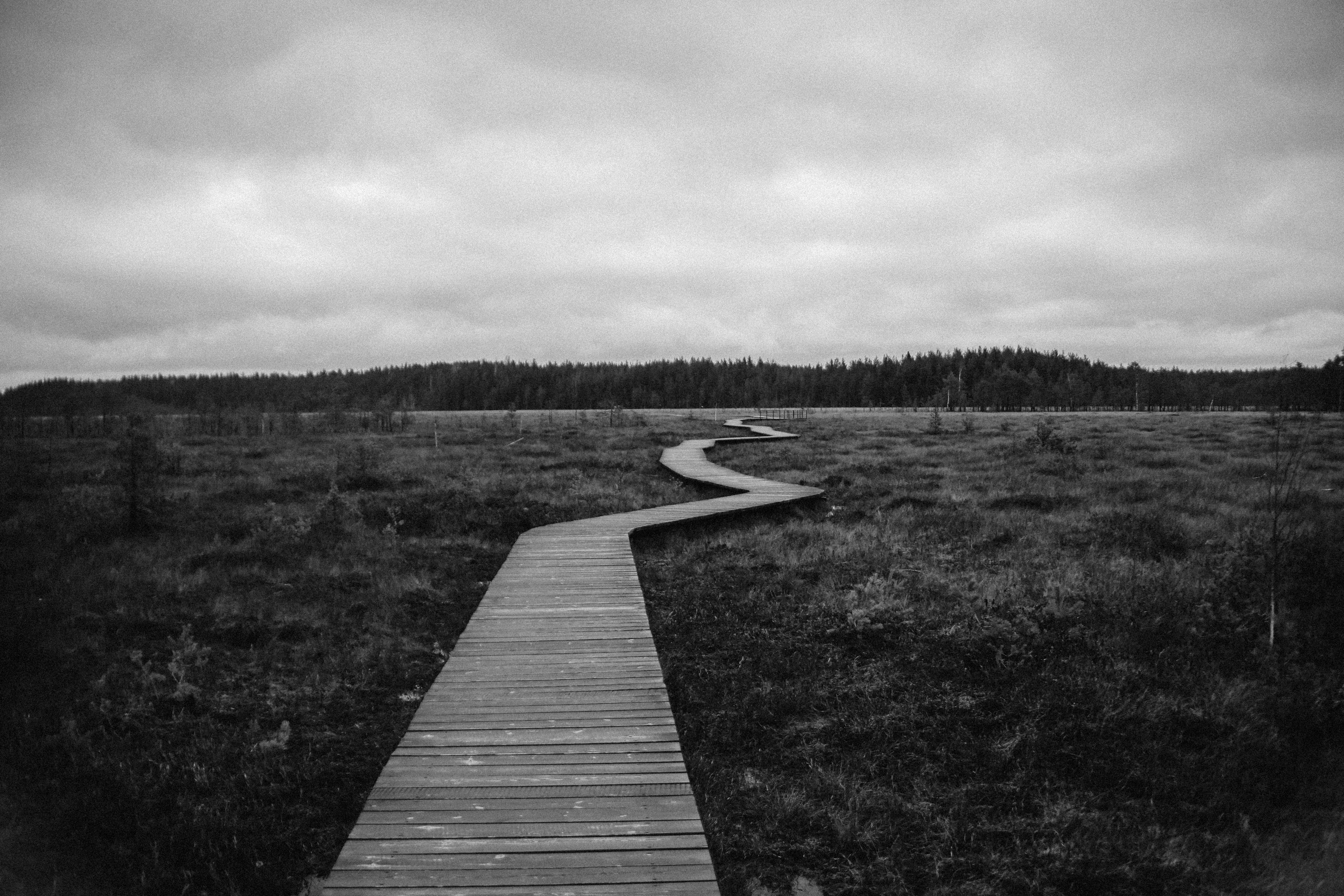 Nature. Magnum Roman Photographer