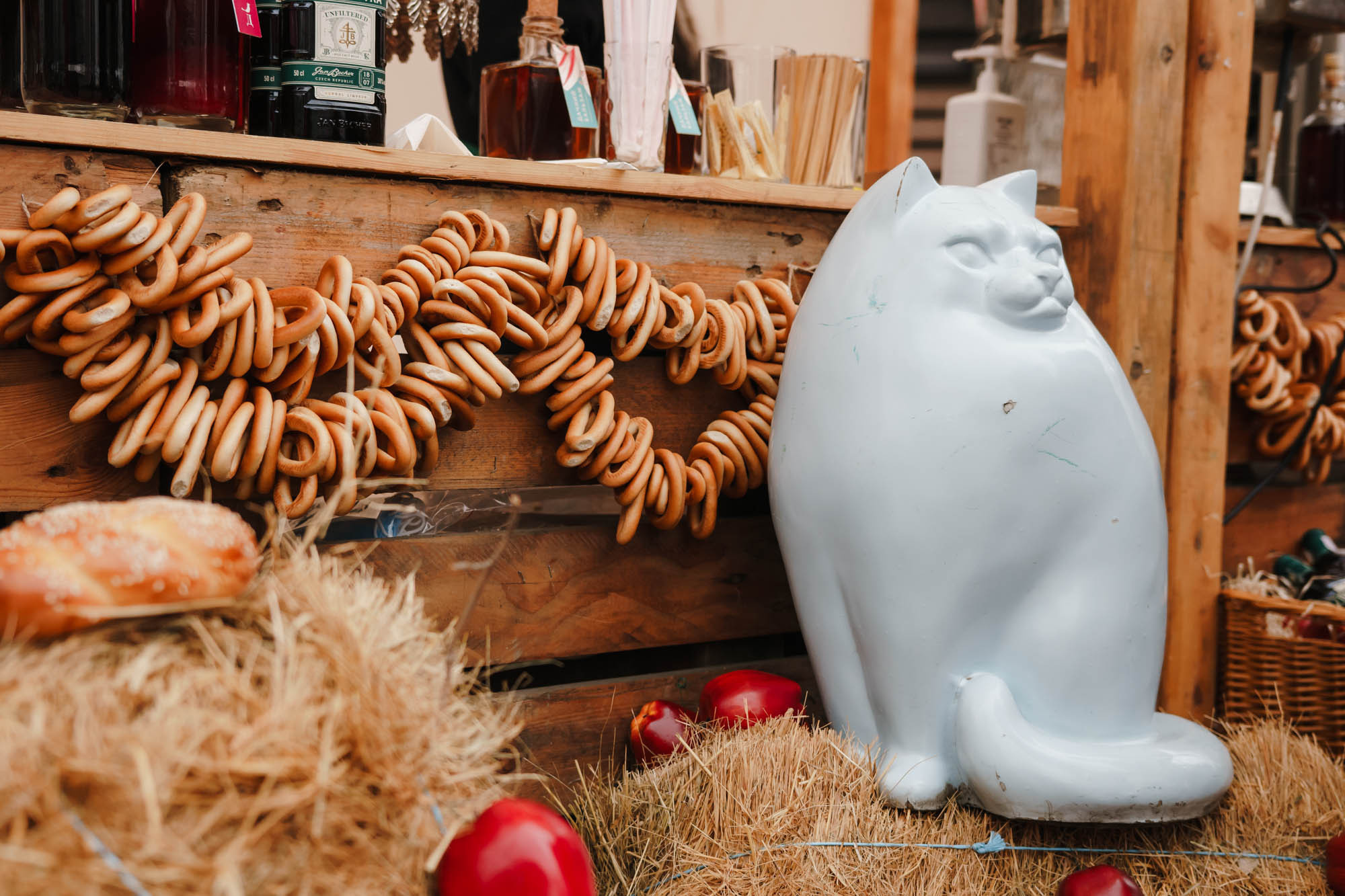 Масленица на Нашей Даче. Photo • Video • Production • Aerial • Media Creation