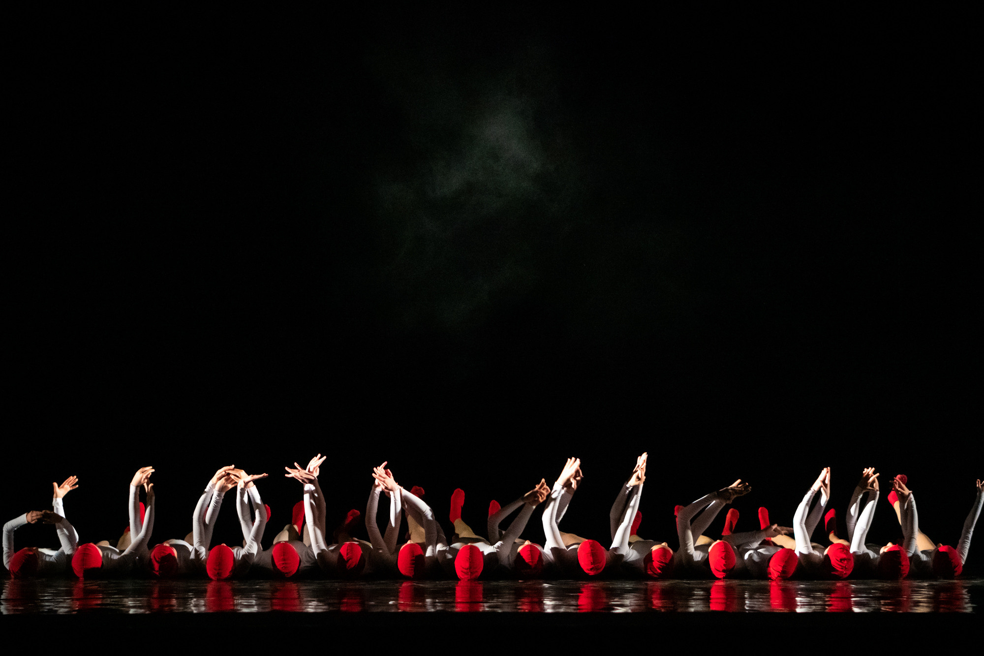 Лена Пуль. Алиса. Фото • Видео • Аэросъемка • Контент для бизнеса