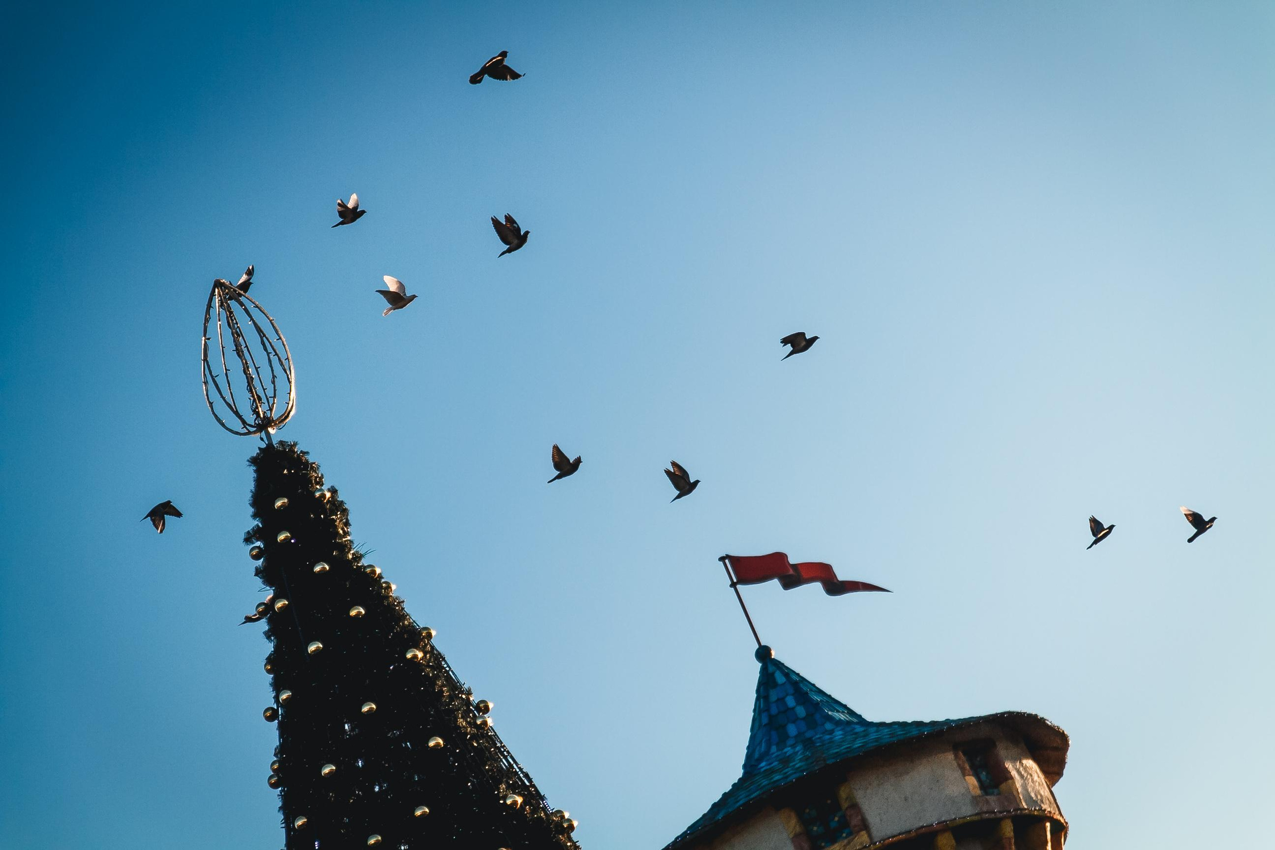 Старый Новый Год в Центральном парке. Foto • Video • Produktion • Luftbildaufnahmen • Erstellung von Medien