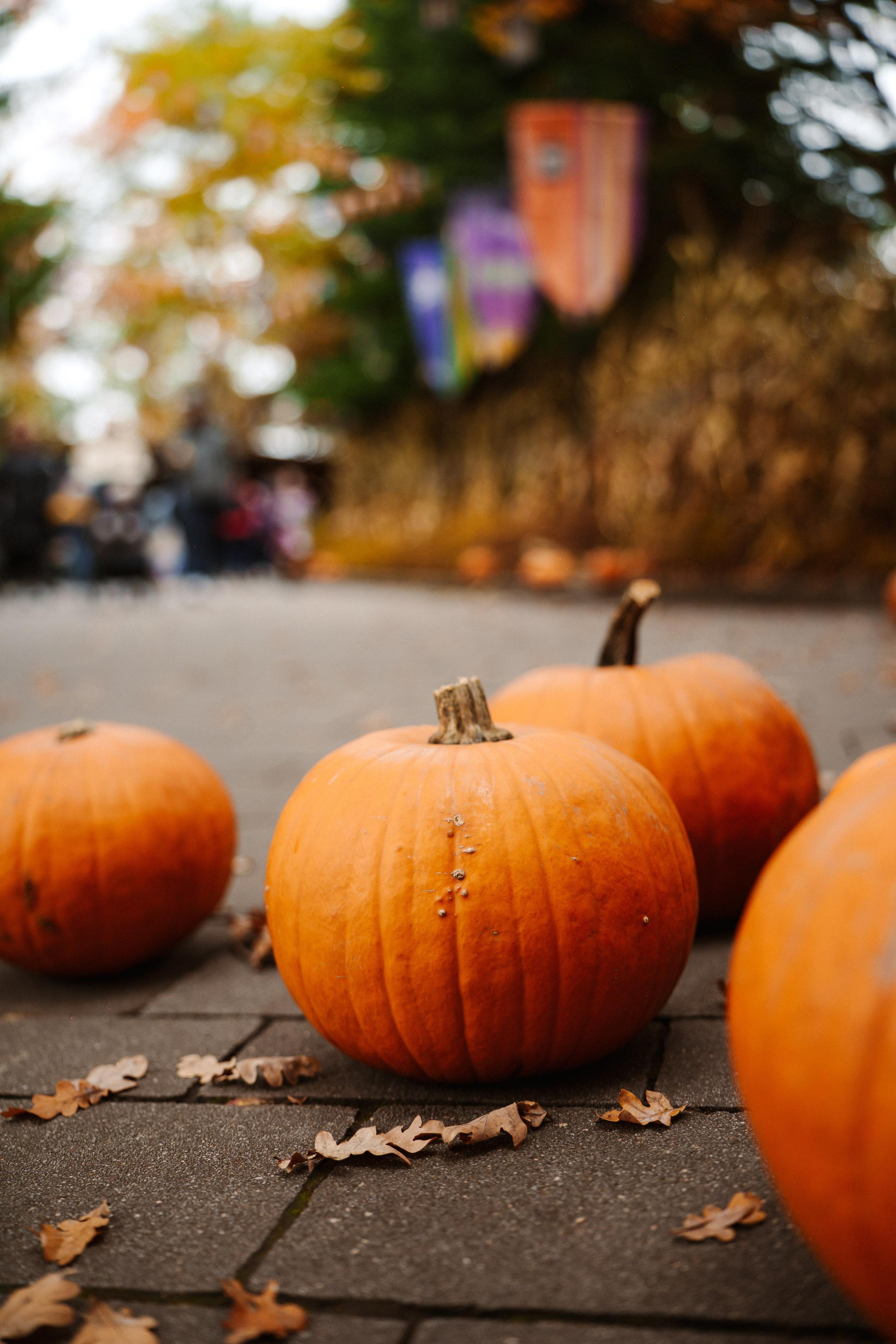 LEGOLAND Halloween 2025. Фото • Відео • Аерозйомка • Контент для бізнесу