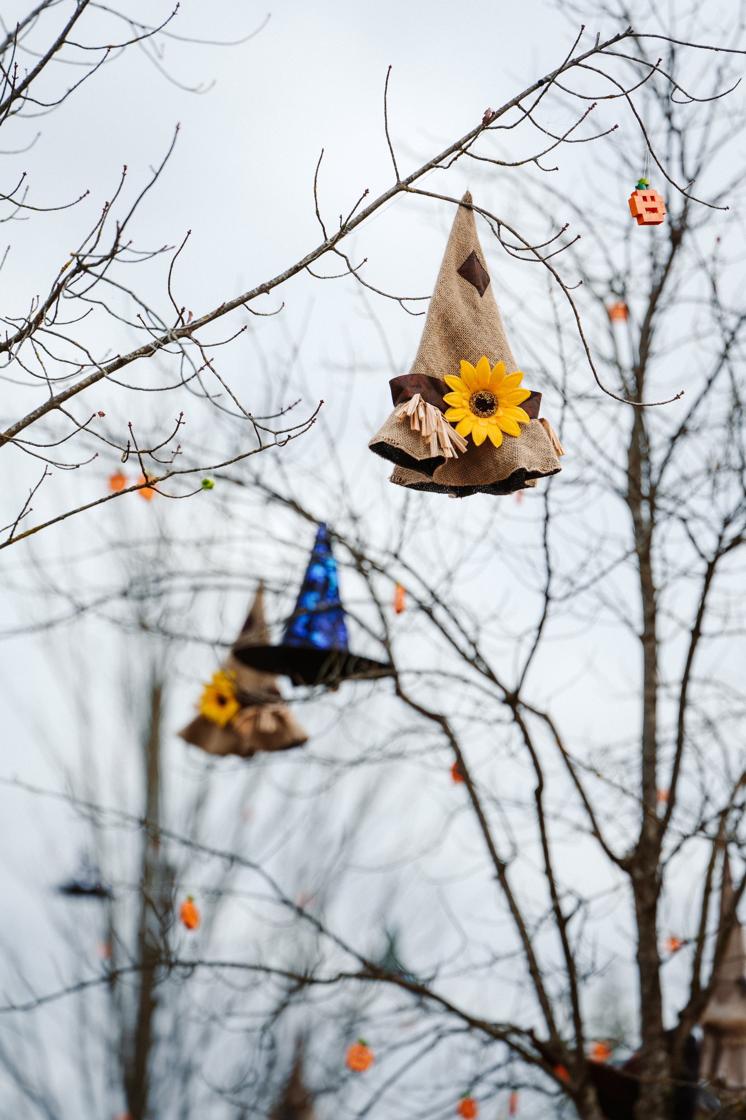 LEGOLAND Halloween 2025. Фото • Відео • Аерозйомка • Контент для бізнесу
