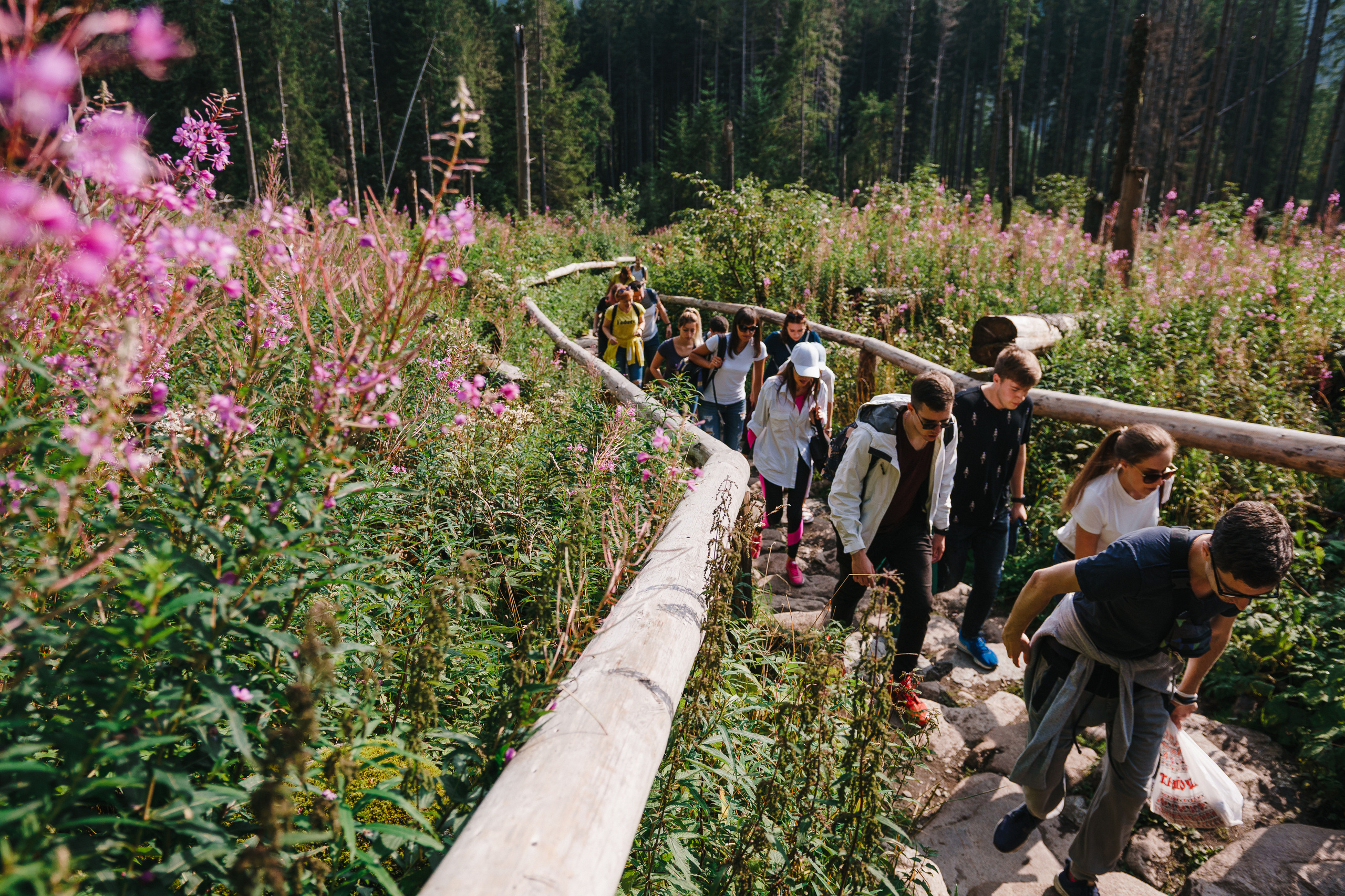 Стук Travel. Краков и Морське Око. Photo • Video • Production • Aerial • Media Creation