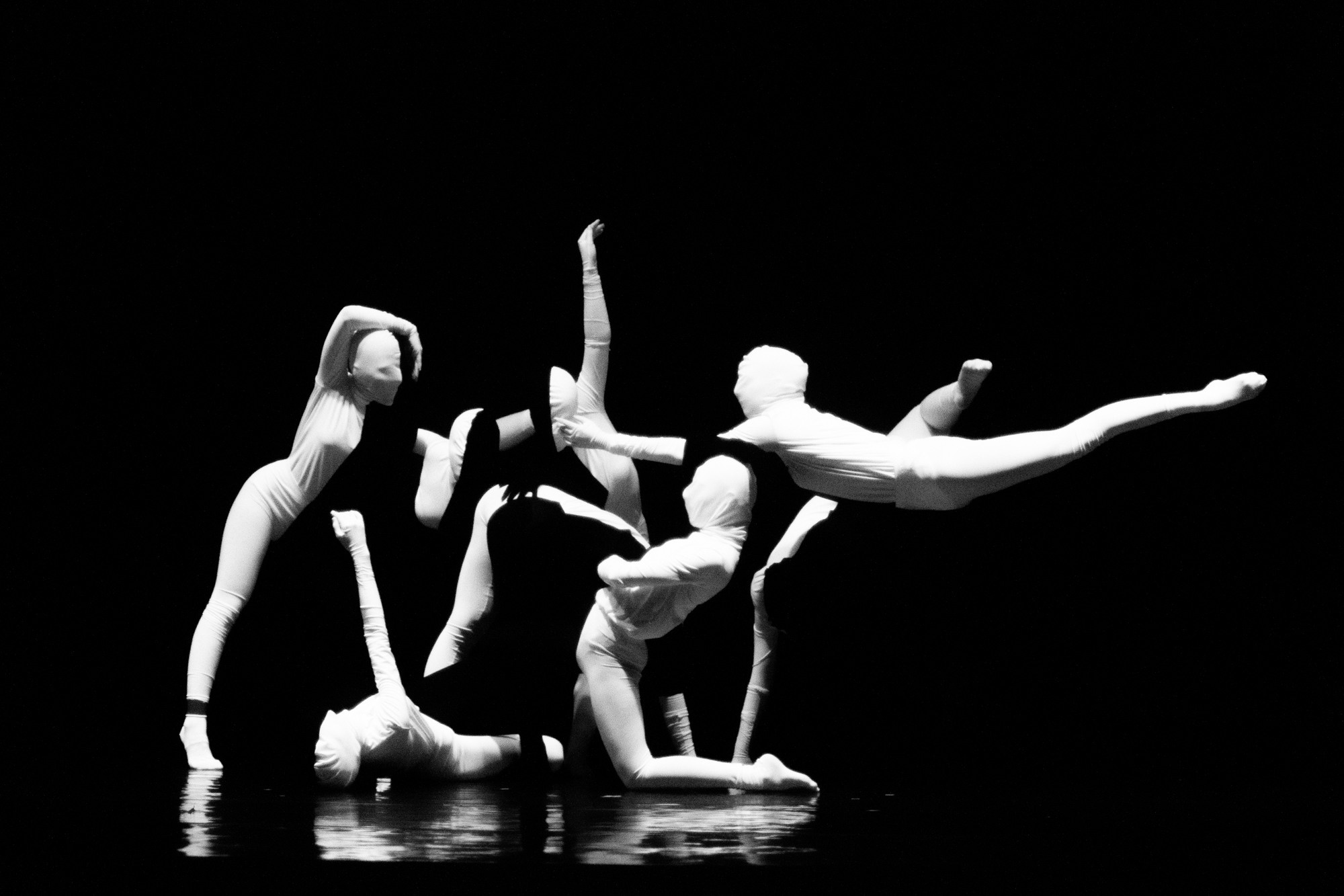 Лена Пуль. Алиса. Фото • Видео • Аэросъемка • Контент для бизнеса