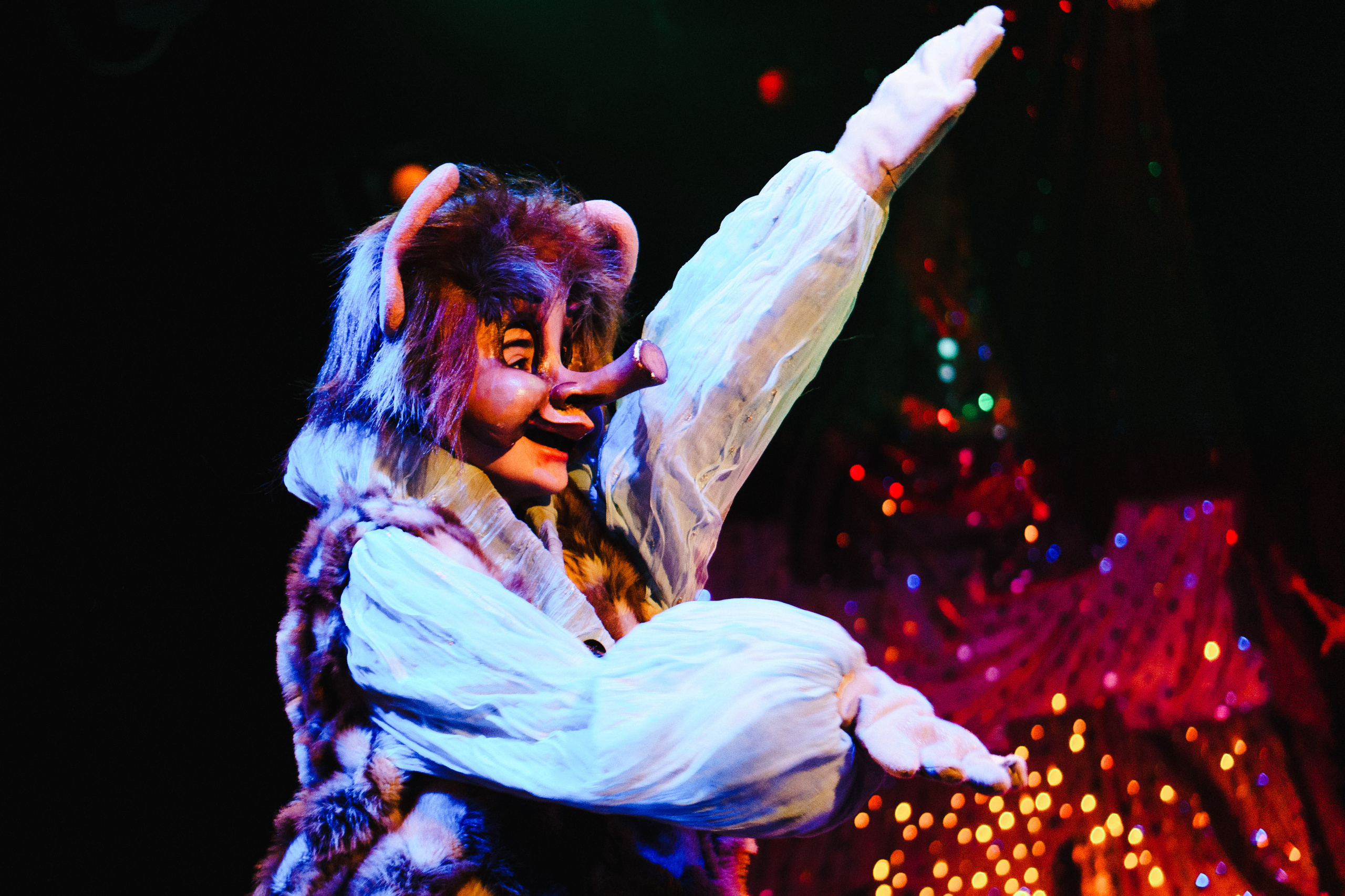 Театр «Сорванцы». Ронни — дочь разбойника. Photo • Video • Production • Aerial • Media Creation