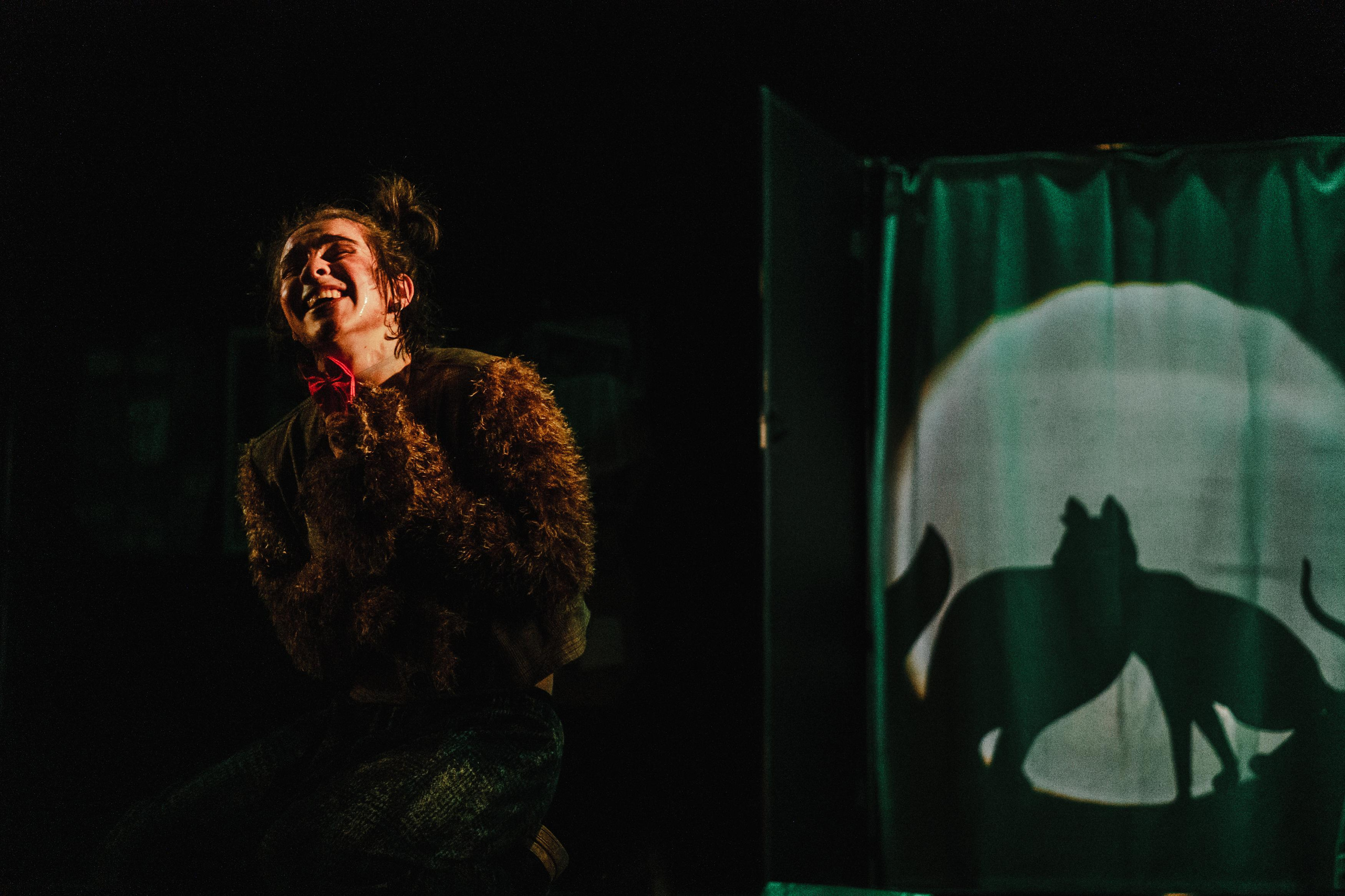 Театр «Сорванцы». Три плюс Кот. Премьера. Фото • Видео • Аэросъемка • Контент для бизнеса