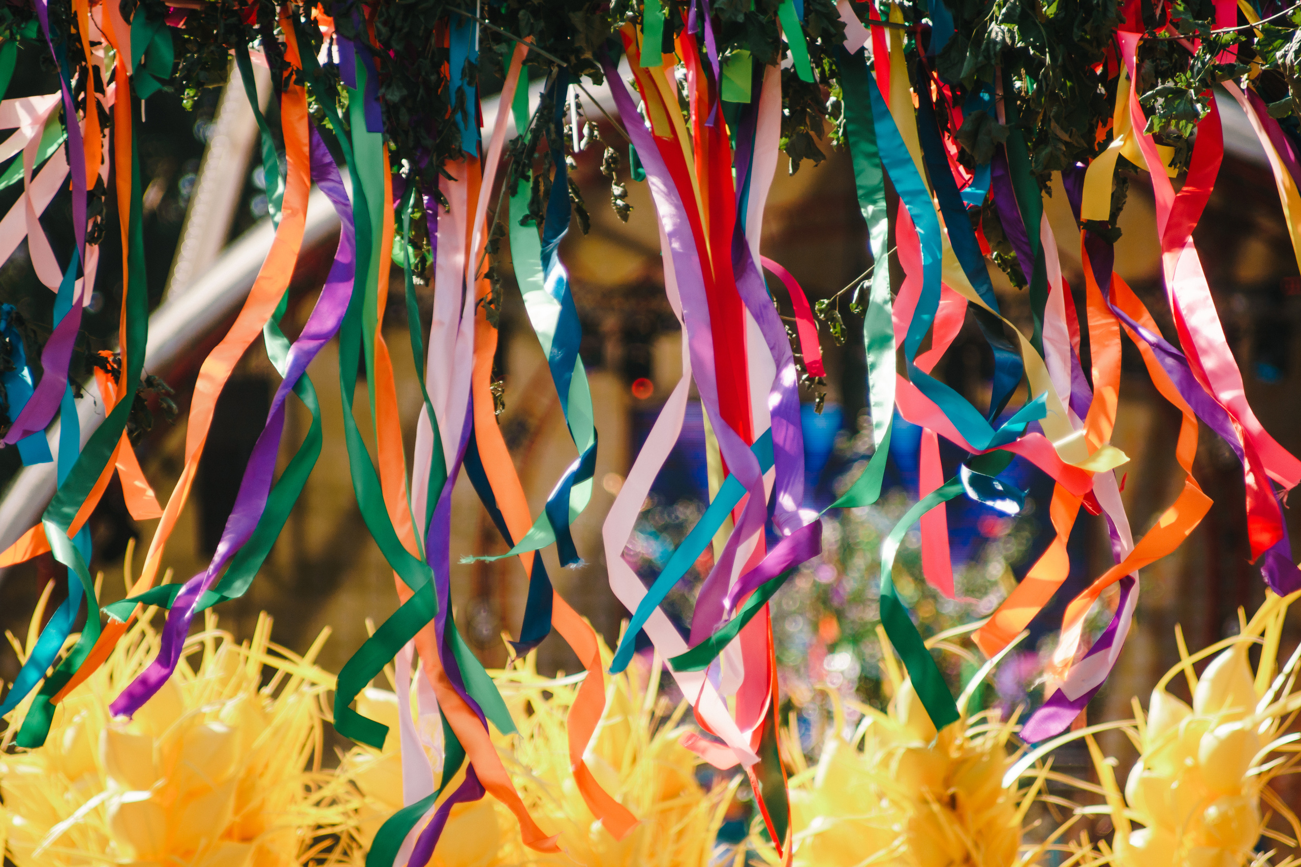 Ивана Купала в Центральном парке. Photo • Video • Production • Aerial • Media Creation