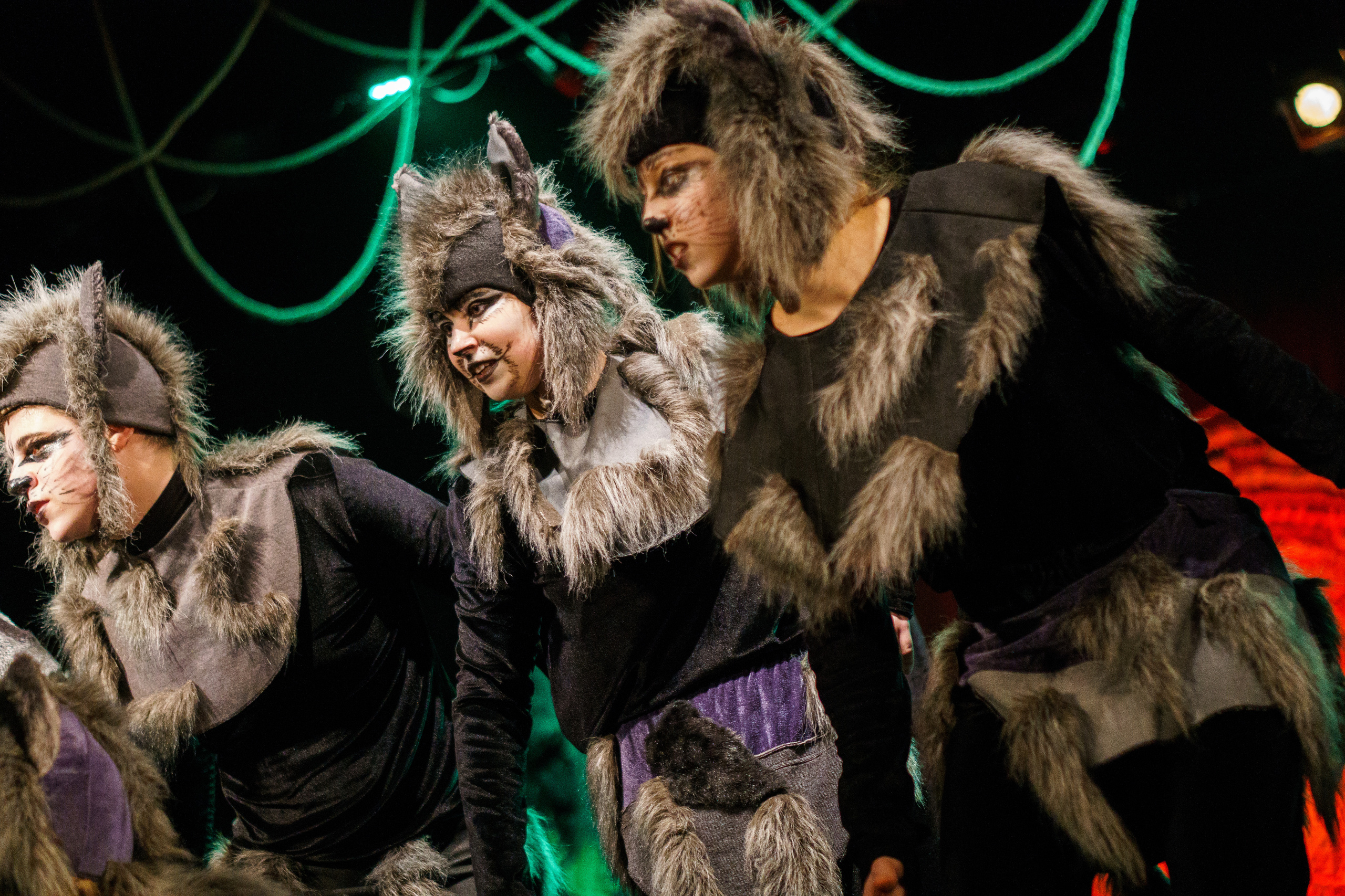 Театр «Сорванцы». Маугли. Photo • Video • Production • Aerial • Media Creation