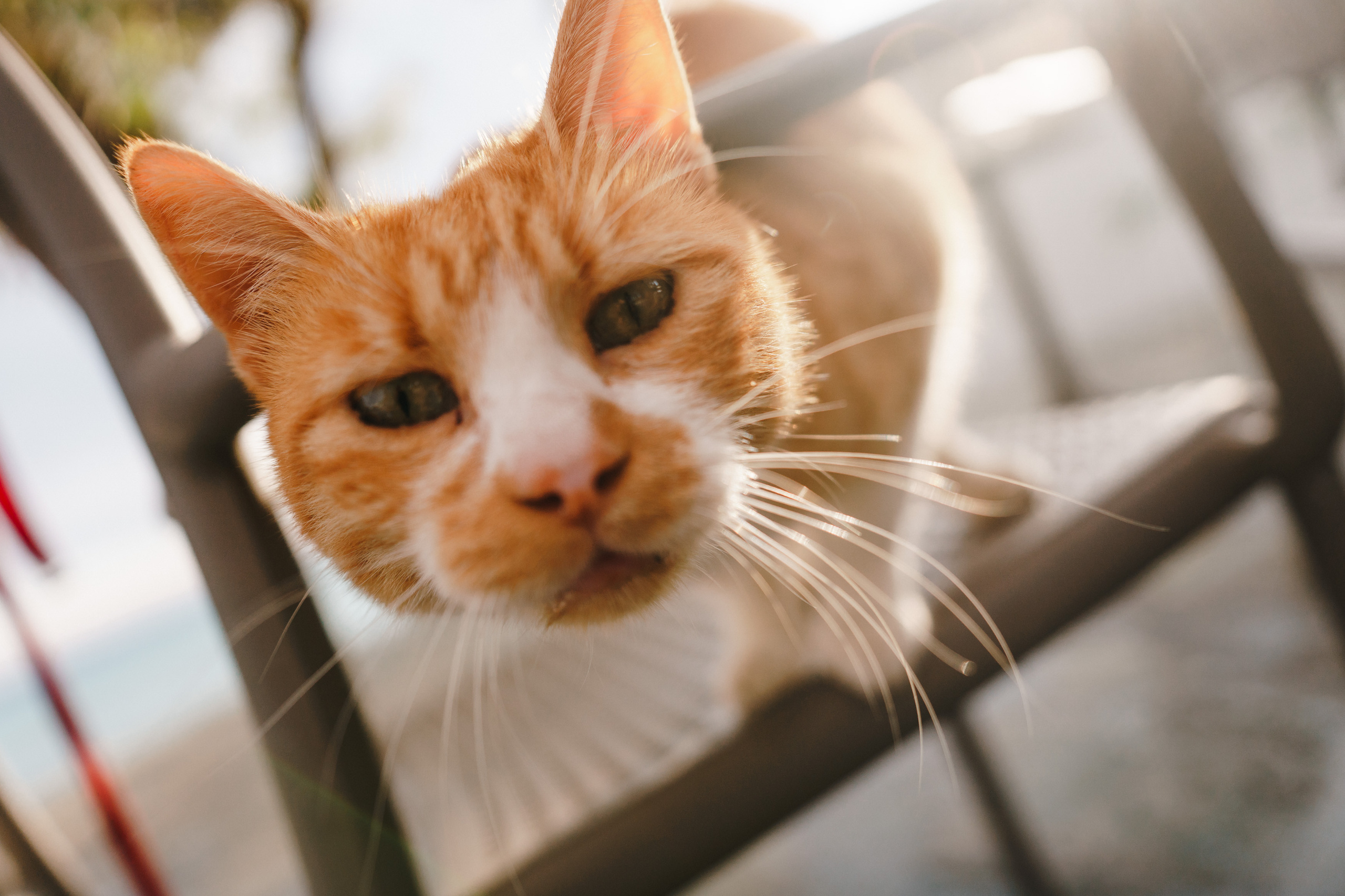 Стук Travel. Кипр, Айя-Напа, Nissi Beach. Photo • Video • Production • Aerial • Media Creation