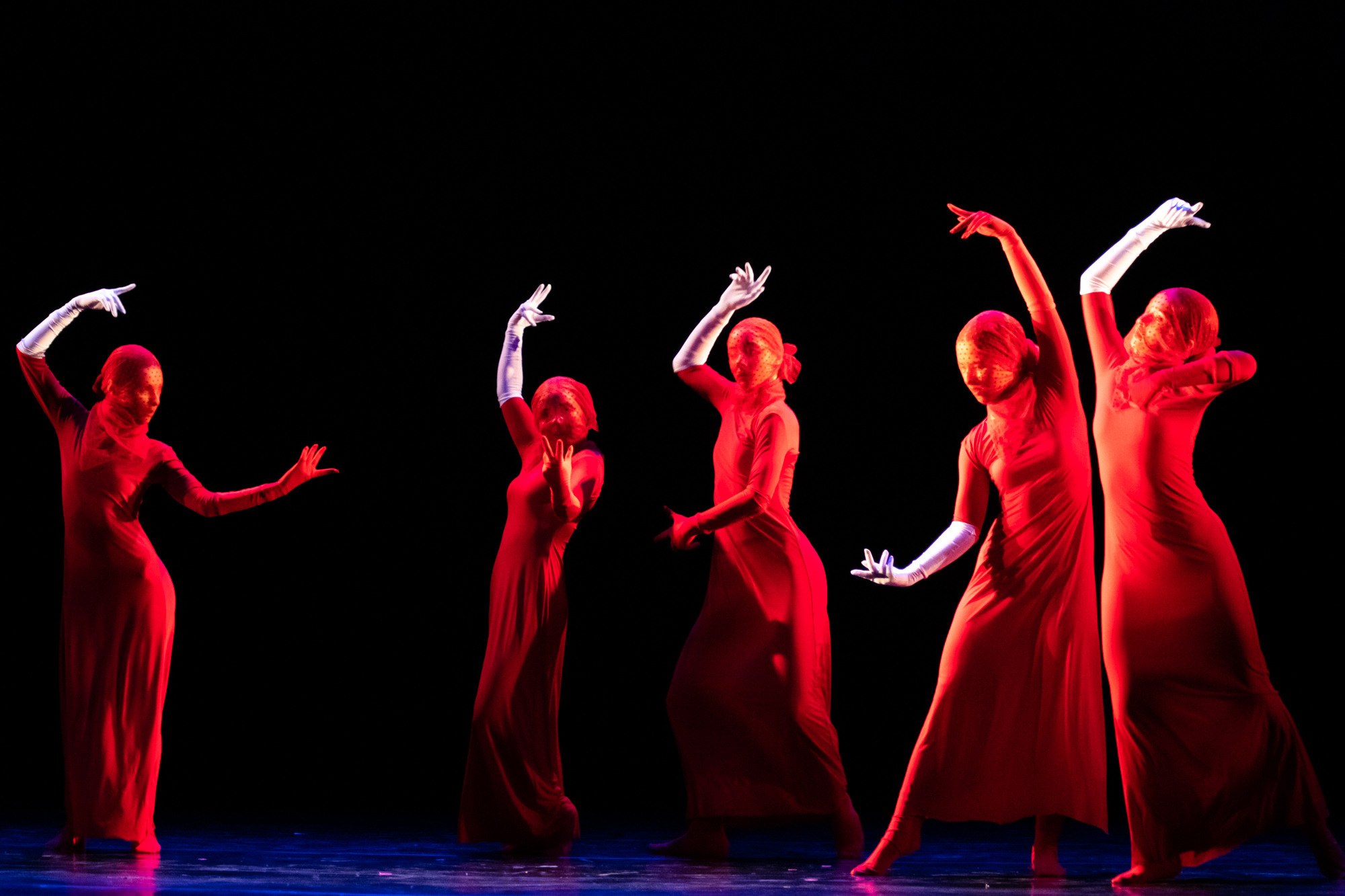 Лена Пуль. Алиса. Фото • Видео • Аэросъемка • Контент для бизнеса