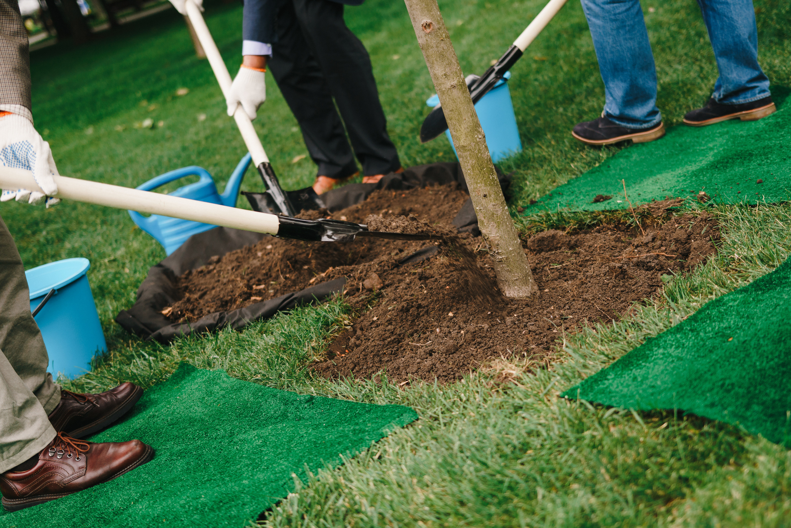 Дни Бразилии в Центральном парке. Foto • Video • Produktion • Luftbildaufnahmen • Erstellung von Medien