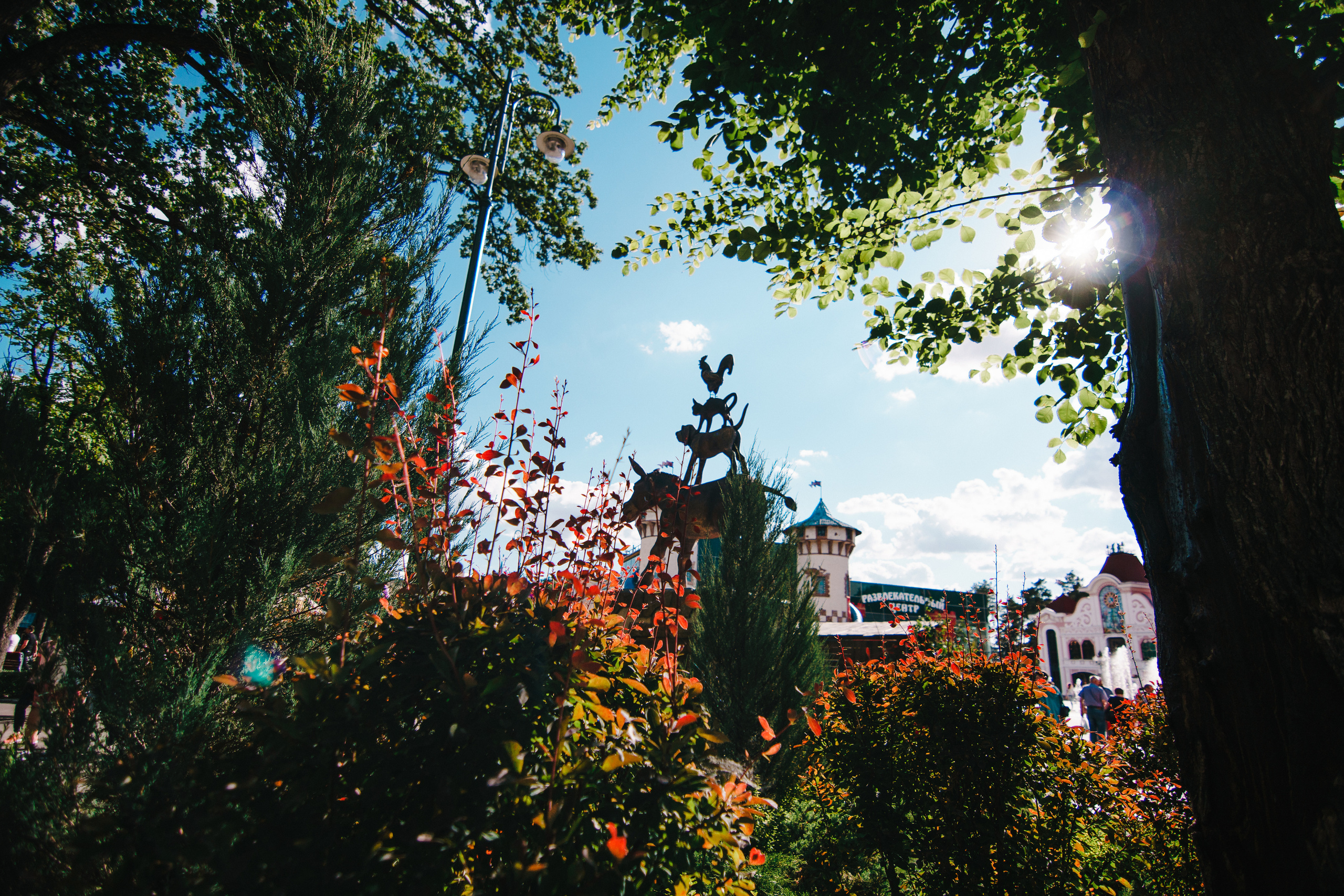 Ивана Купала в Центральном парке. Photo • Video • Production • Aerial • Media Creation