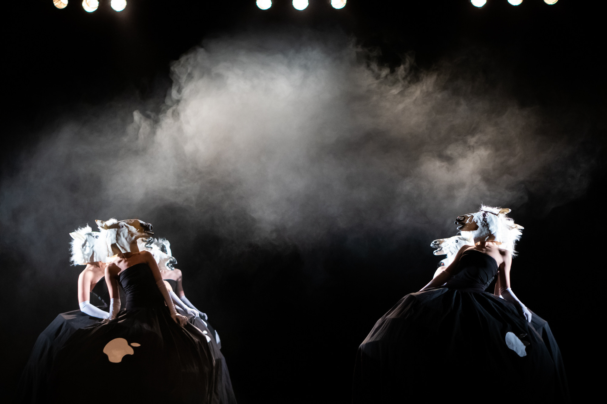 Лена Пуль. Алиса. Фото • Видео • Аэросъемка • Контент для бизнеса