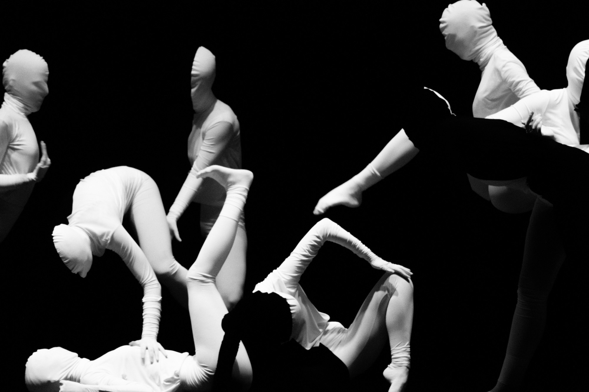 Лена Пуль. Алиса. Фото • Видео • Аэросъемка • Контент для бизнеса